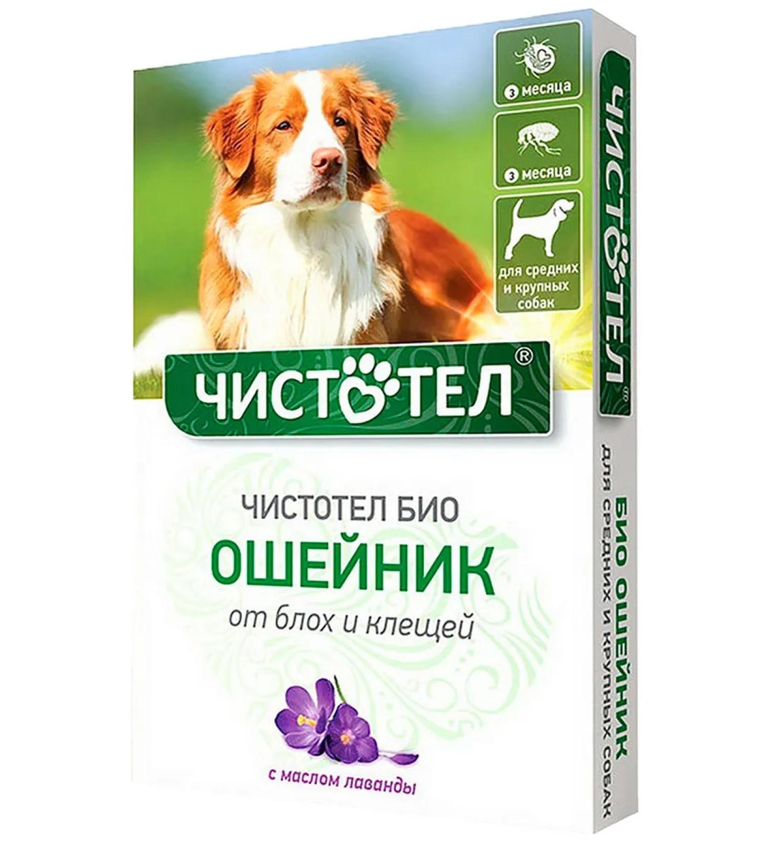 Celandine Collar from fleas of ticks of medium large dogs of lavender 40 cm