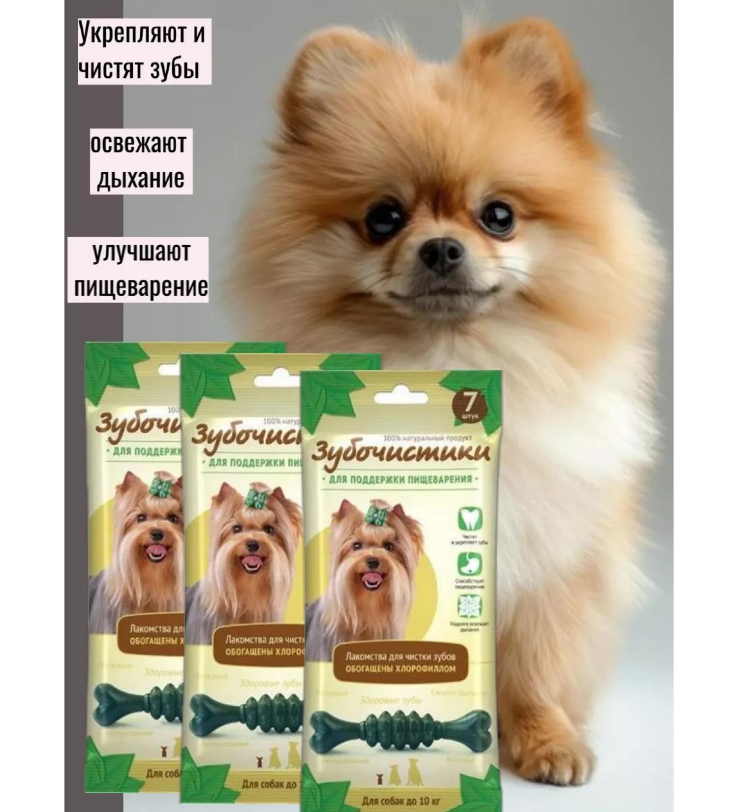 Toothpicks To maintain digestion with chlorophyll 3pcs