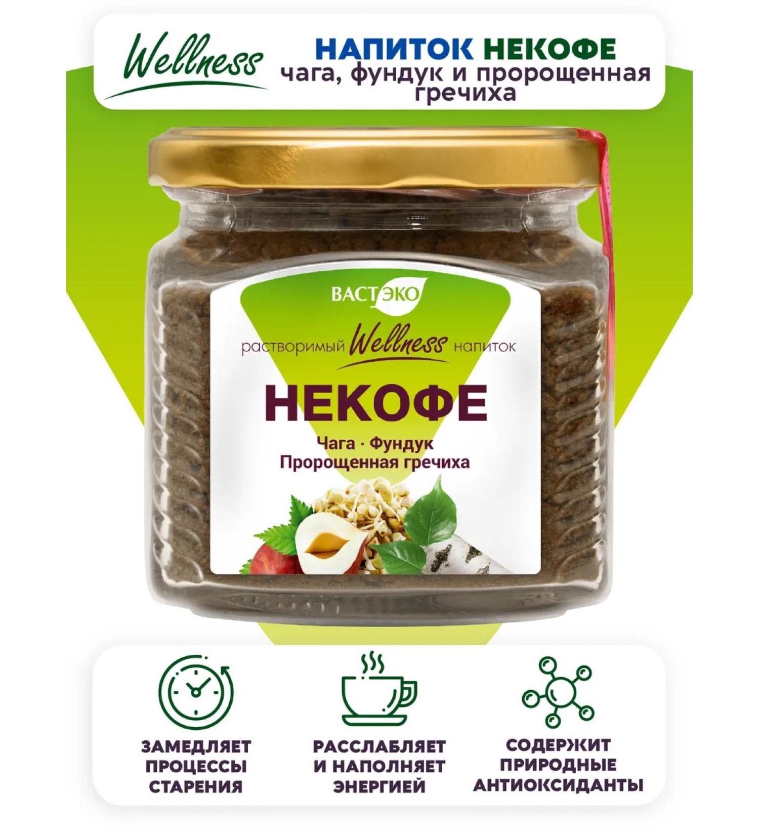 Vasteko Drink of a non -nof with chaga hazelnut and germinated buckwheat 170g - Buy Online on GoSupps.com