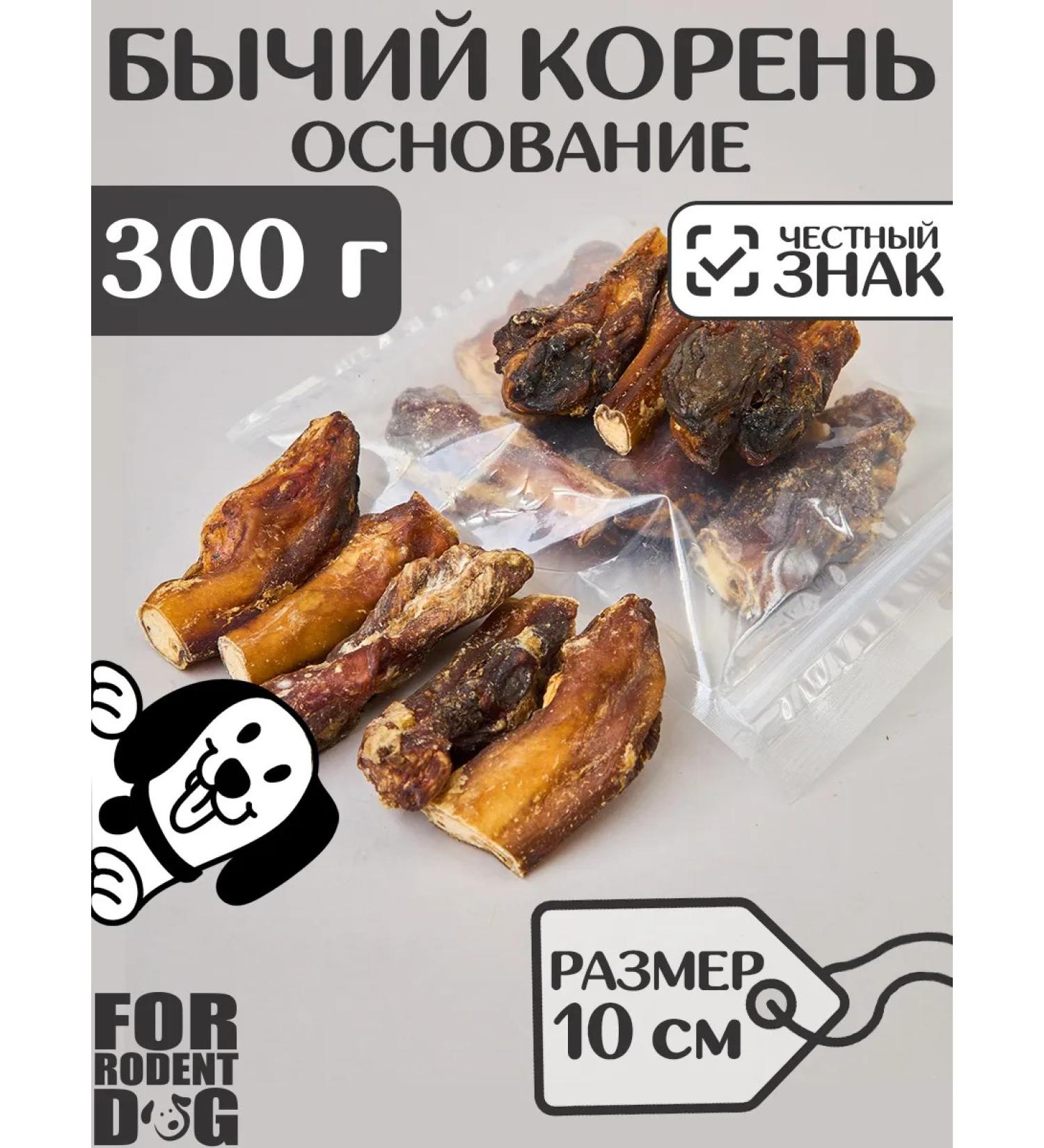 FOR RODENT DOG Dog treats bull root (base) 10 cm 300 g - Buy Online on GoSupps.com