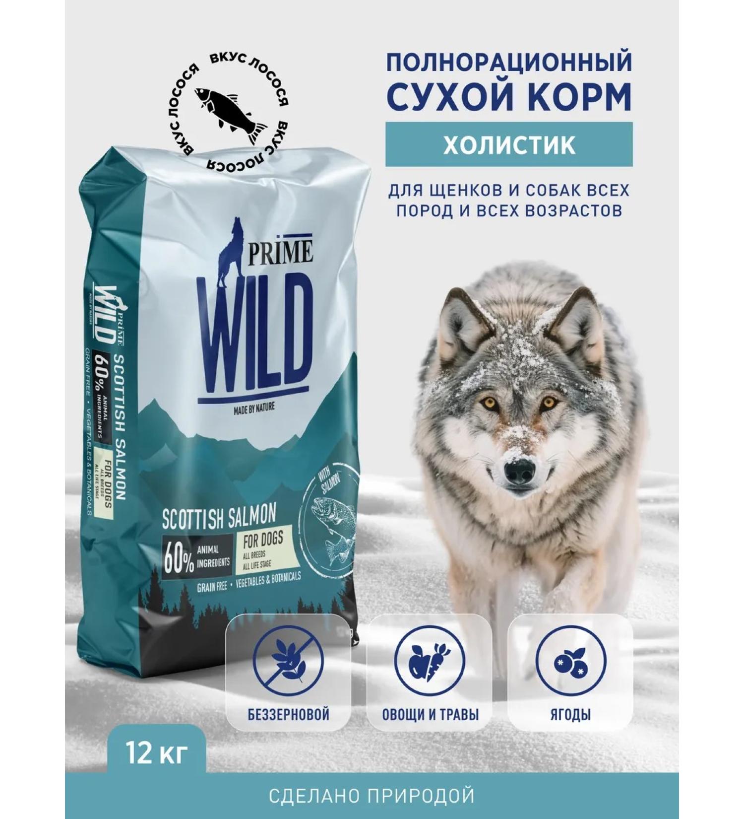 Prime Wild Dry food dry with salmon 12 kg - Buy Online on GoSupps.com