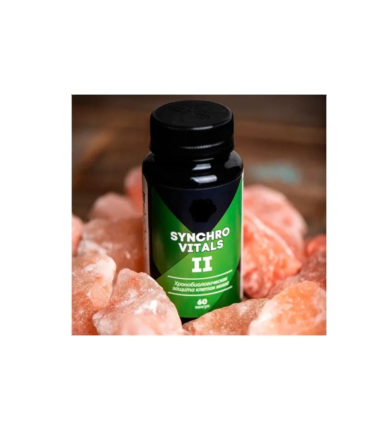 prevention Chronobiological protection of brain cells - synchrovitis II - Buy Online on GoSupps.com