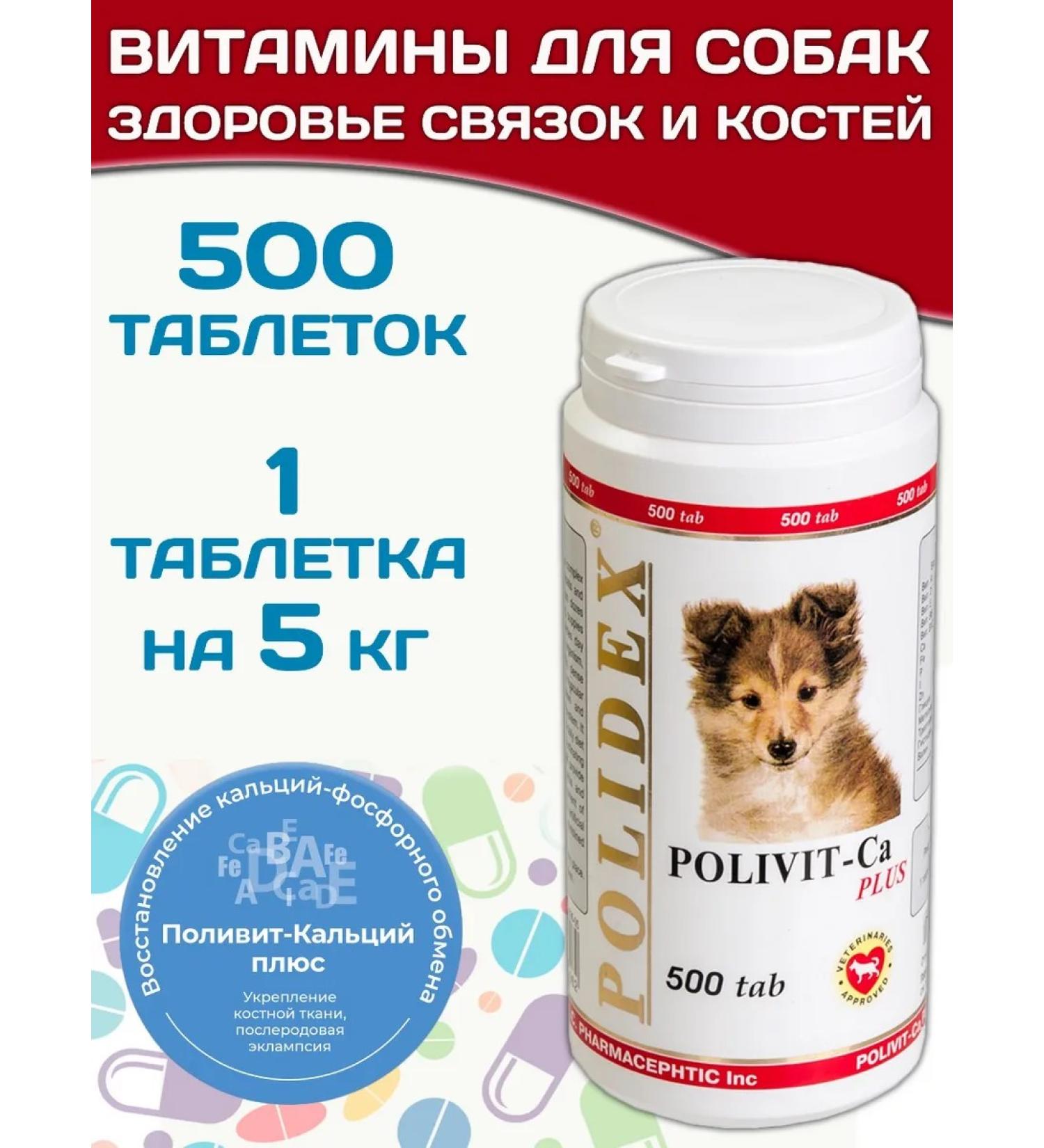 polidex Polivit-Ca Plus 500Tab calcium for dogs and puppies - Buy Online on GoSupps.com