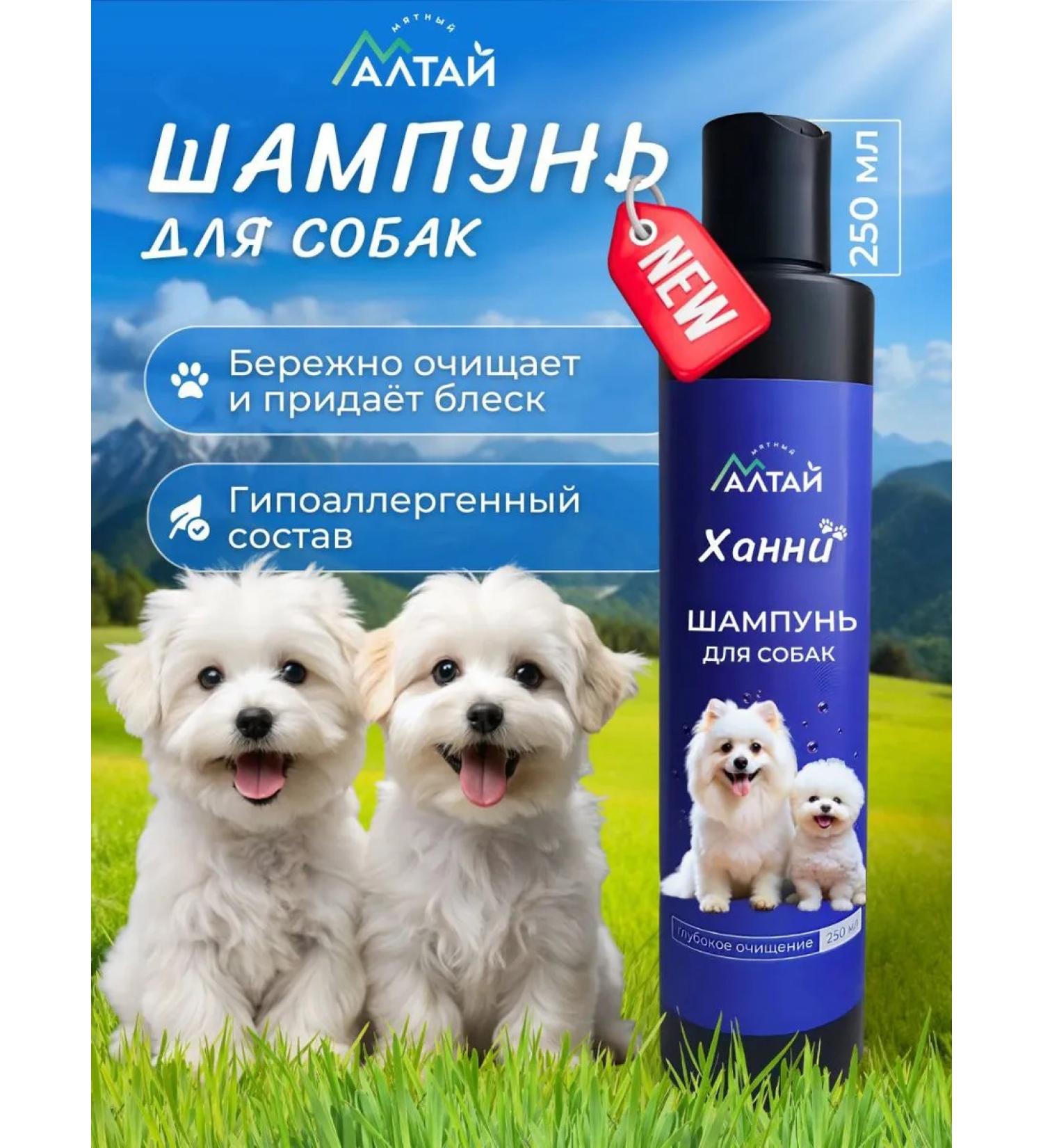 Mint Altai Shampoo for dogs - Buy Online on GoSupps.com