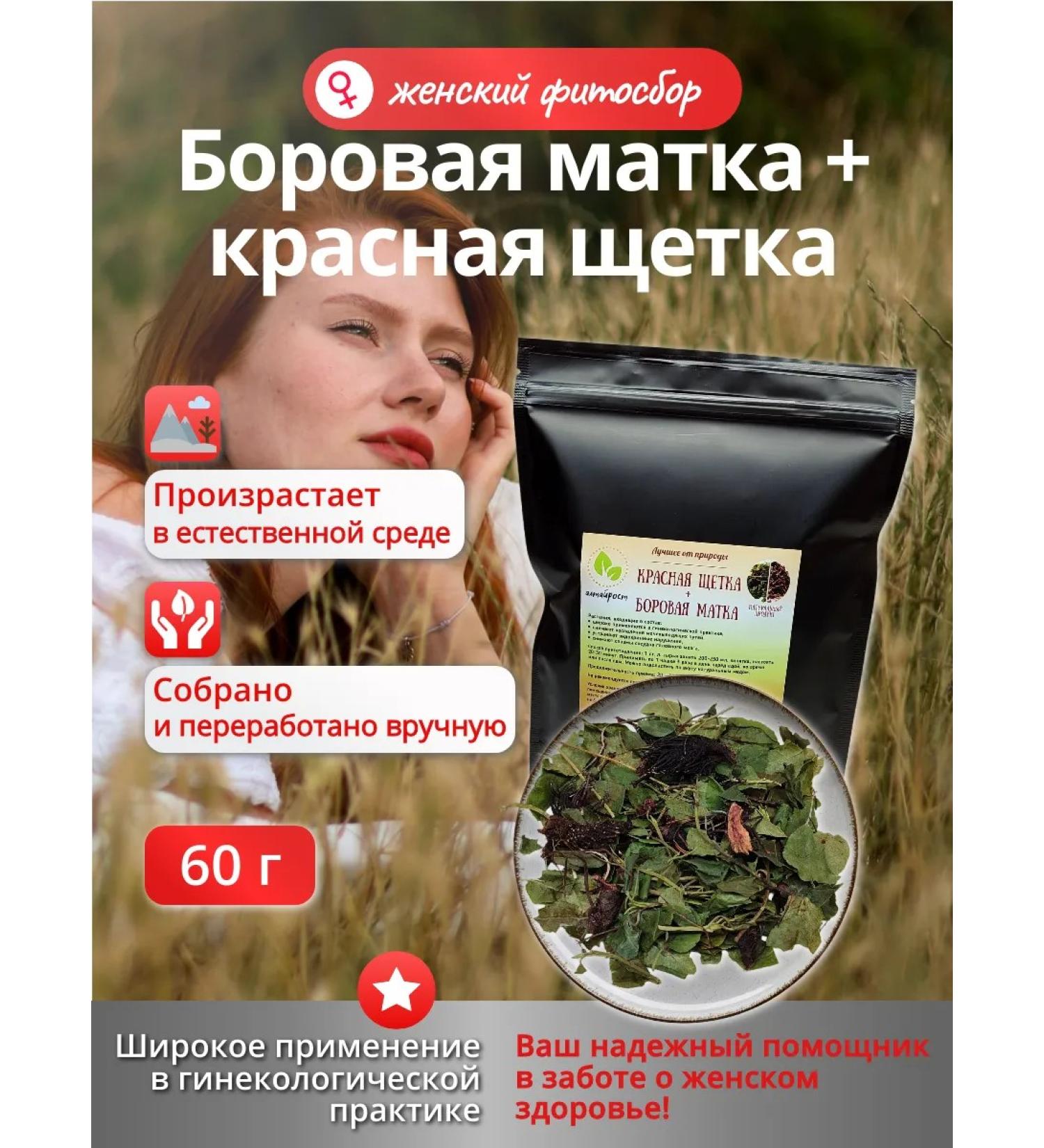 Altai Rost Borow uterus+red brush female phytosbor - Buy Online on GoSupps.com