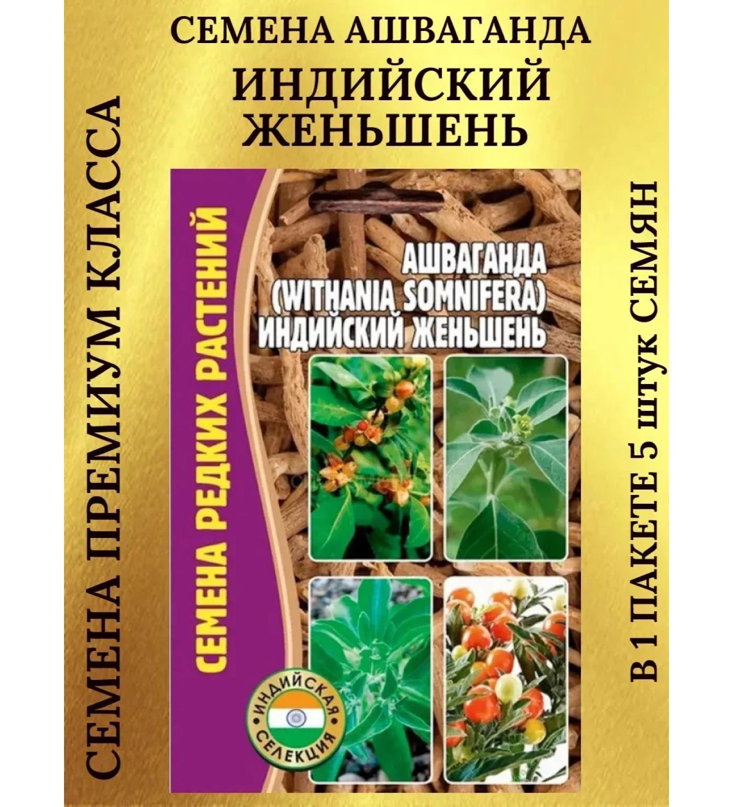 RARE Ashvaganda seeds Indian ginseng - 1 package