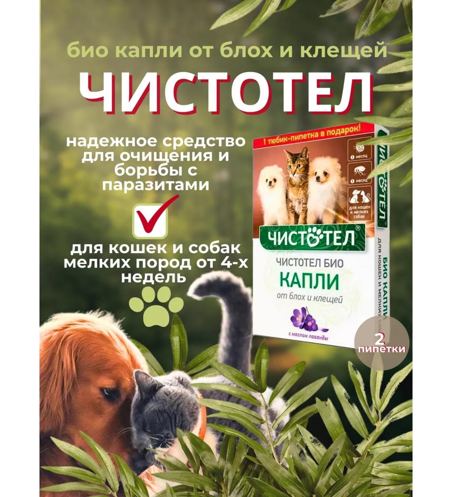 In the animal world 21 Bio drops from fleas and ticks for cats and dogs