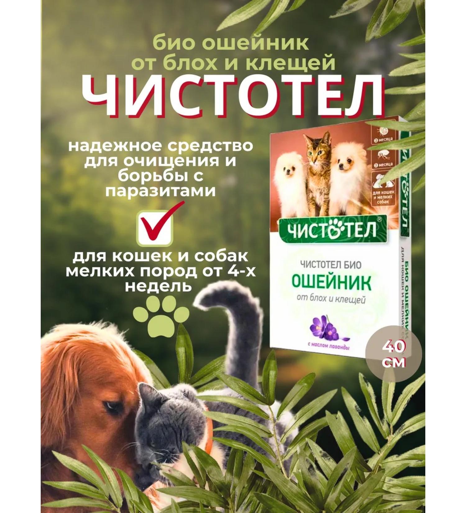In the animal world 21 Bio collar from fleas and ticks for cats and dogs