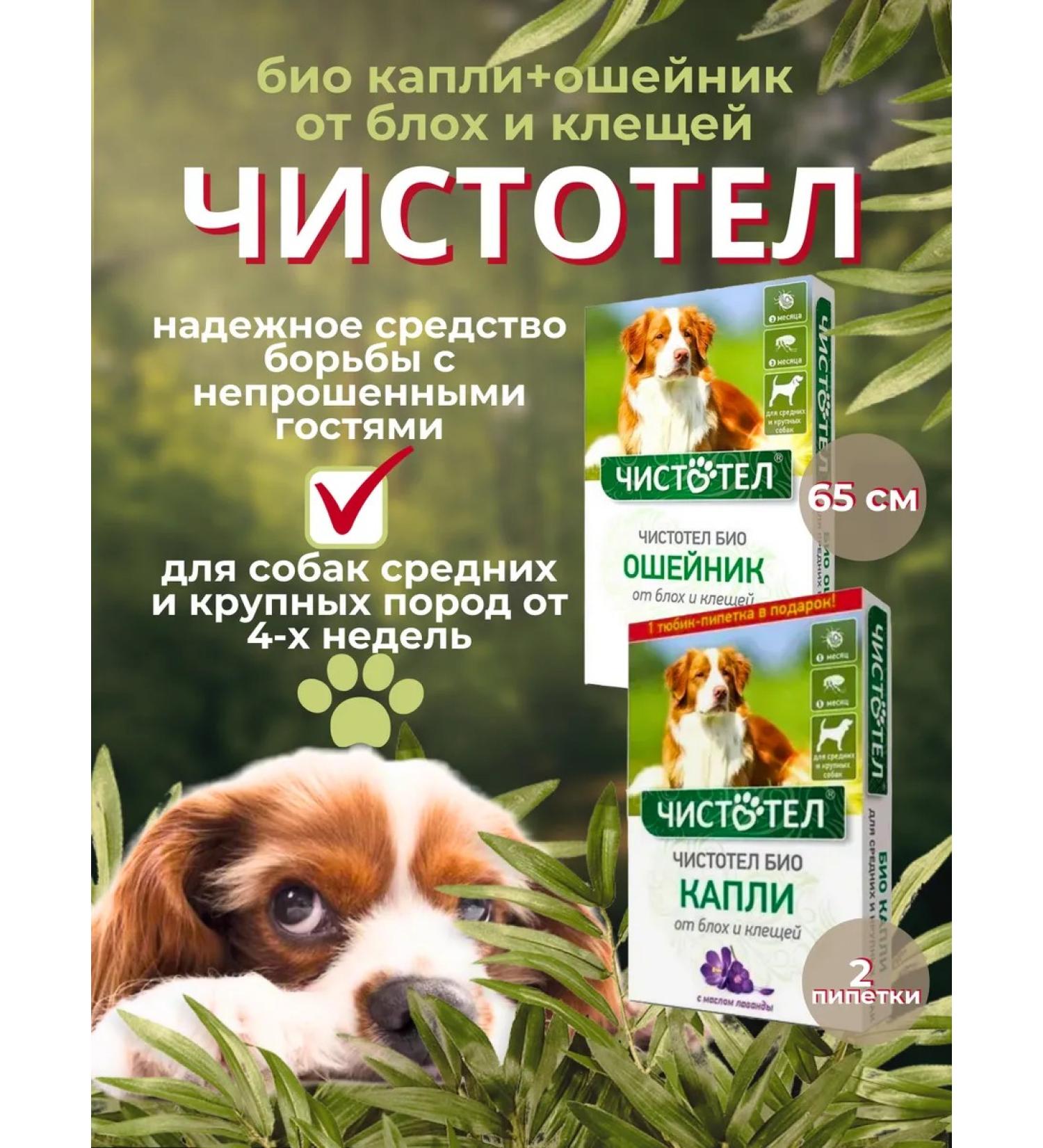 In the animal world 21 Set of celandine bio from fleas and ticks for dogs