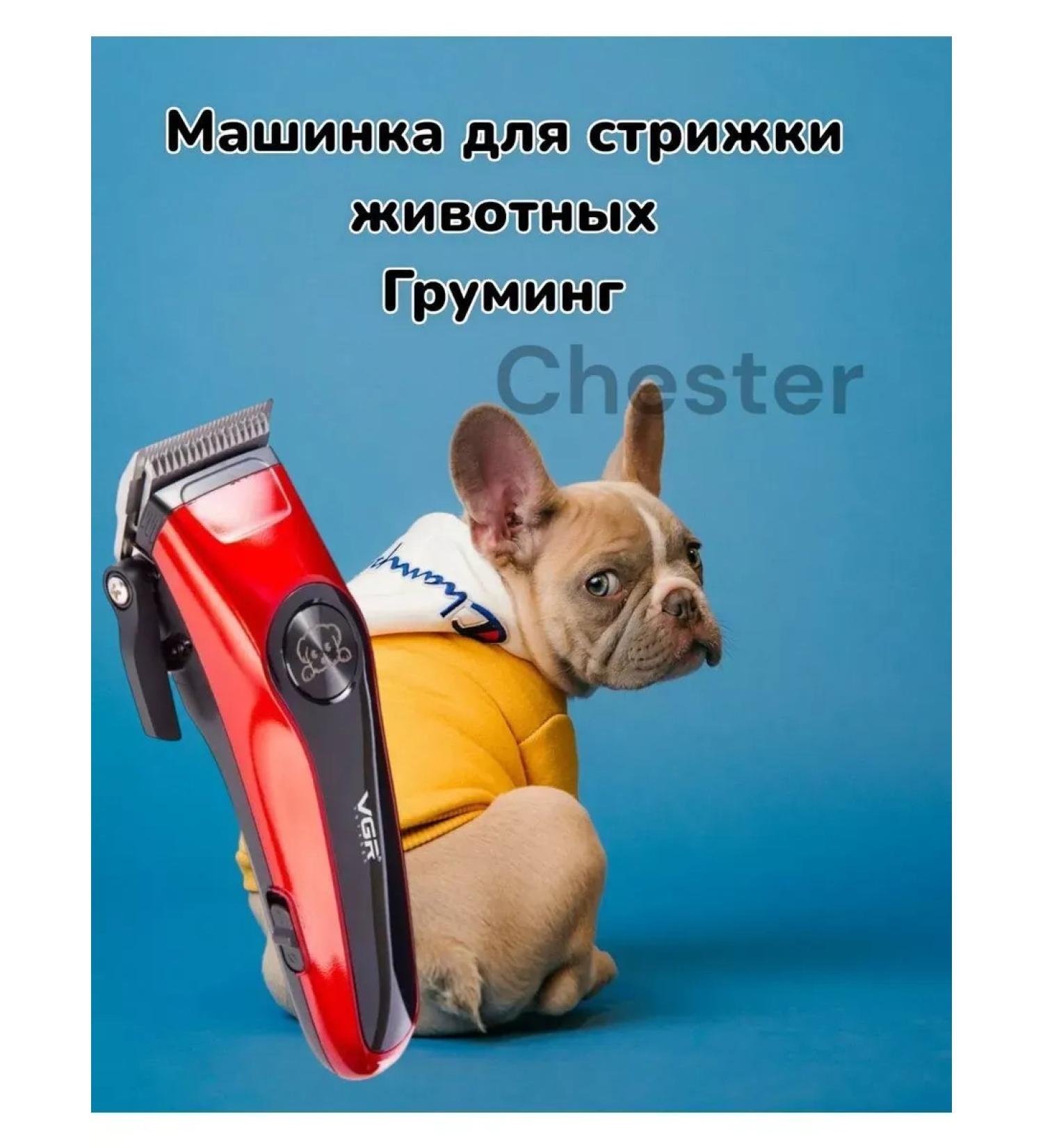 PHILIPS Animal haircut machine - Buy Online on GoSupps.com