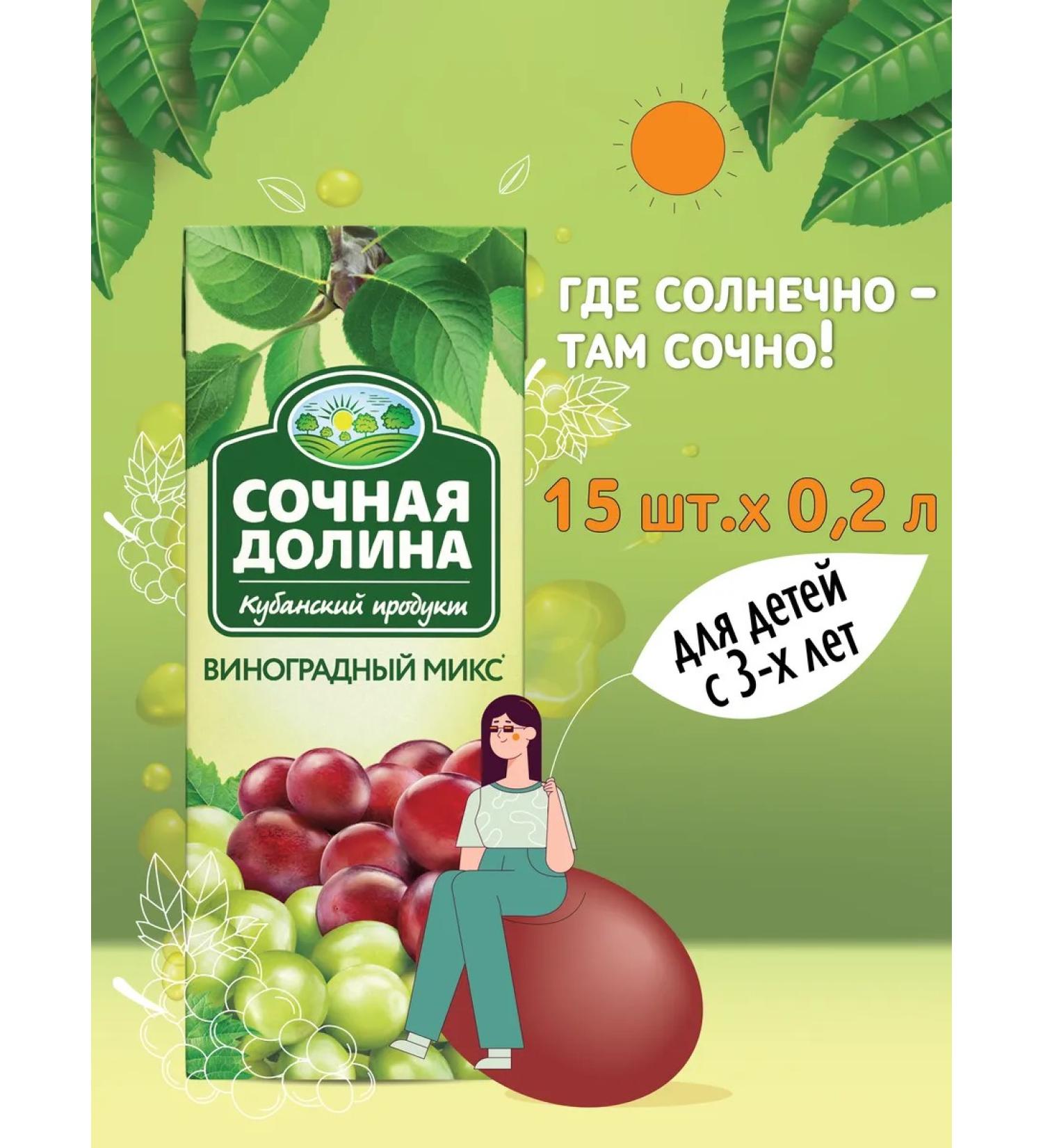 Juicy Valley Children's drink grape mix 200 ml x 15 pcs - Buy Online on GoSupps.com