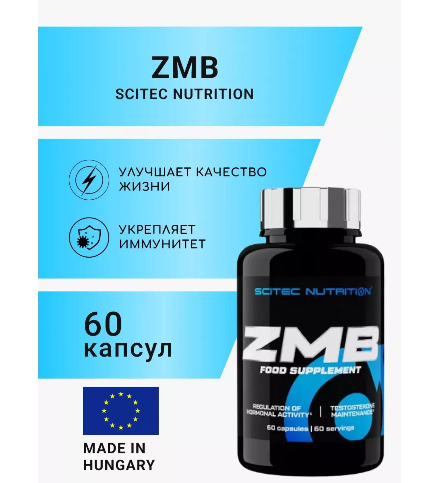 Scitec Nutrition Zinc magnesium B6 zmb6 (60 caps) - Buy Online on GoSupps.com