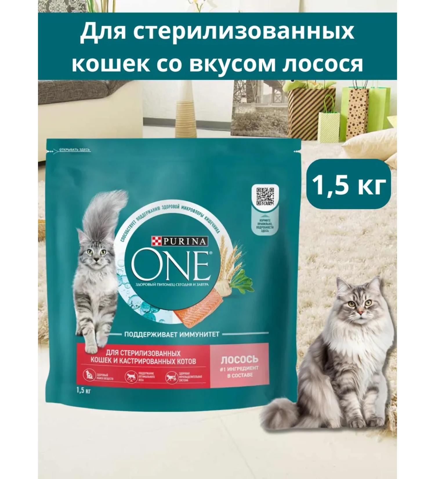 PURINA ONE Dry food for sterilized cats salmon 1.5 kg - Buy Online on GoSupps.com