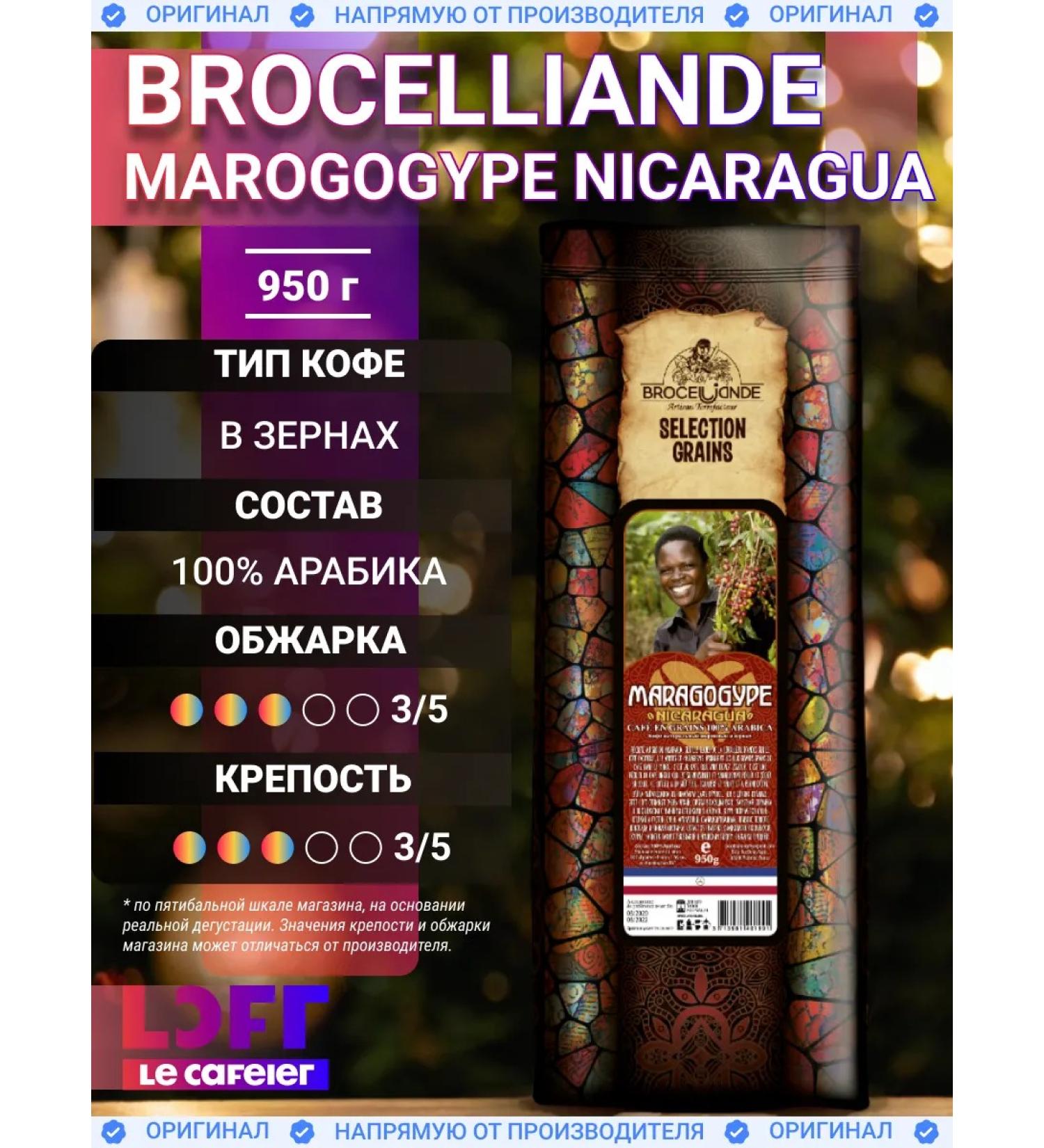 Brocelliande Coffee in Boselliad Maragogype Nicaragua 950 gr - Buy Online on GoSupps.com
