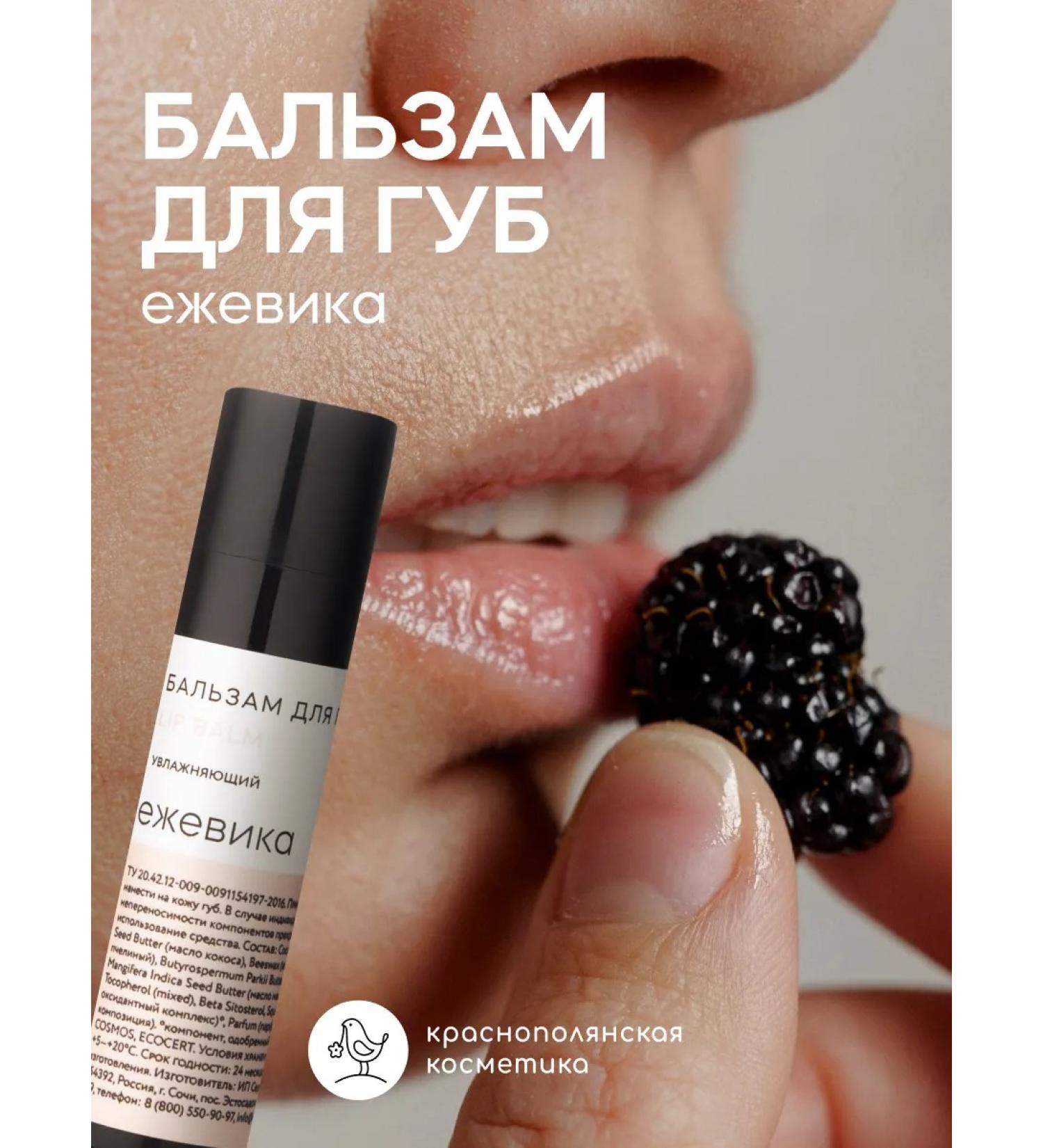 KRASNOPOLYANSKAYA COSMETICS Lip balm blackberry 5 ml - Buy Online on GoSupps.com