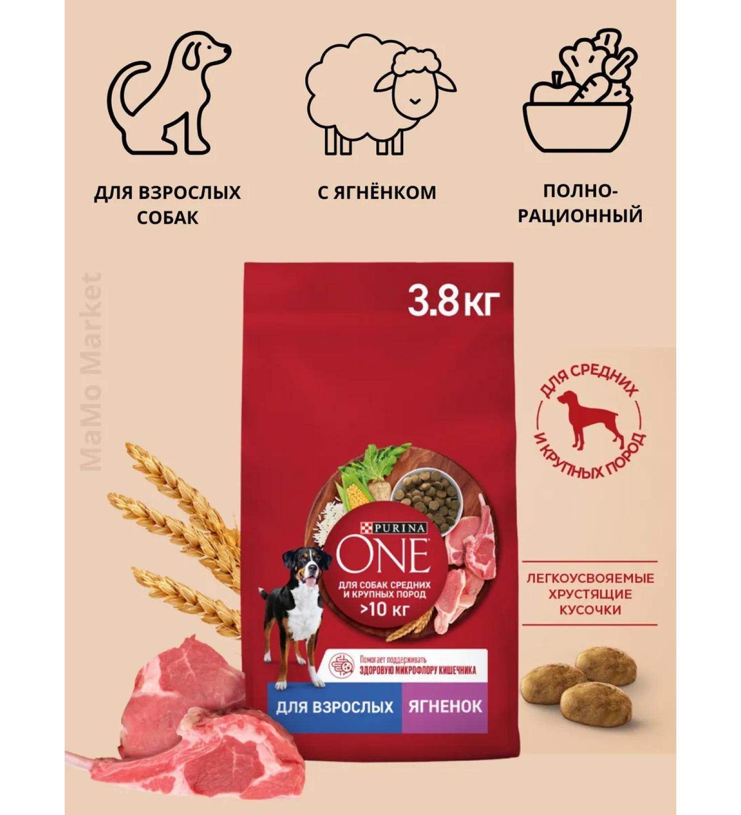 PURINA ONE Dry food dry 3.8 kg with lamb and rice - Buy Online on GoSupps.com