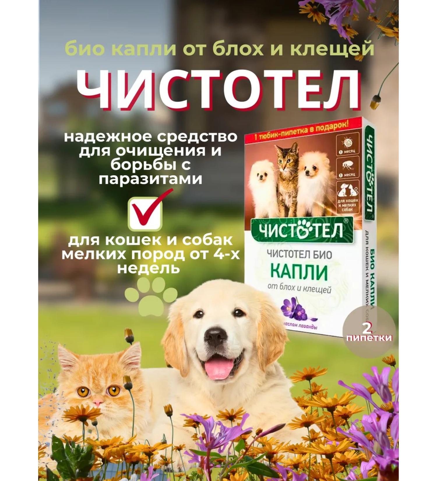 In the animal world Bio drops from fleas and ticks for cats and dogs