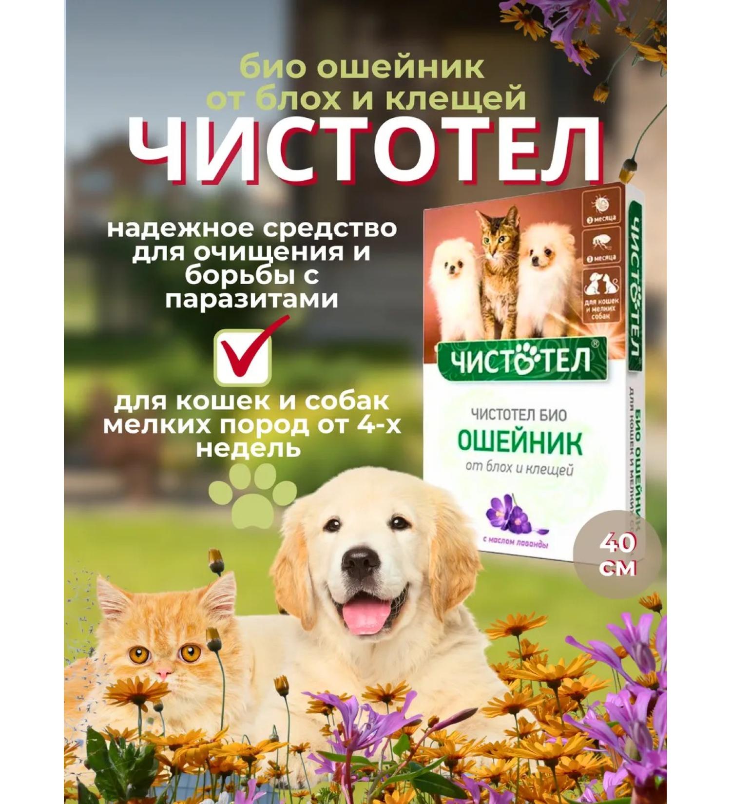 In the animal world Bio collar from fleas and ticks for cats and dogs