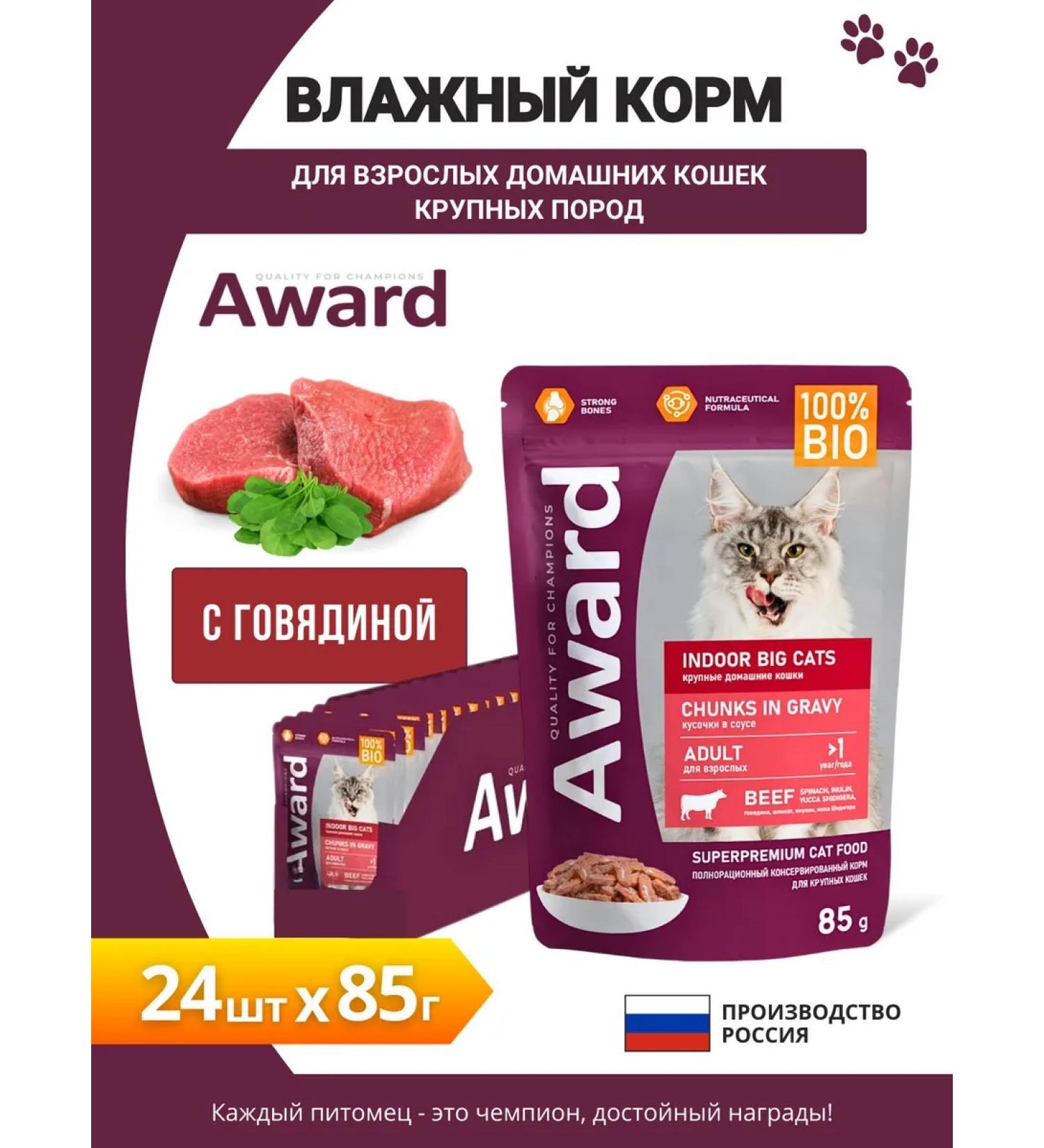 AWARD Spiders Indoor Big Cats pieces in sauce beef 85g x 24pcs - Buy Online on GoSupps.com
