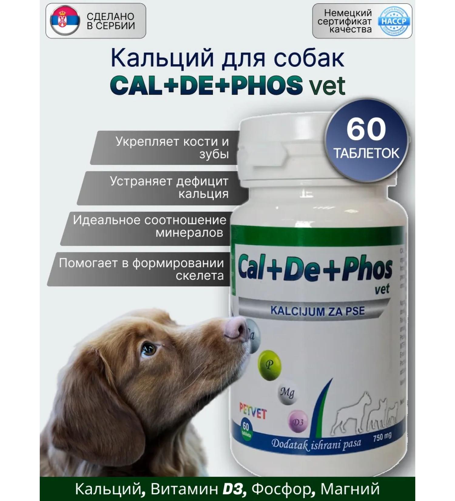 InterPet Vet Calcium for dogs "Cal+De+Phos Vet" - Buy Online on GoSupps.com