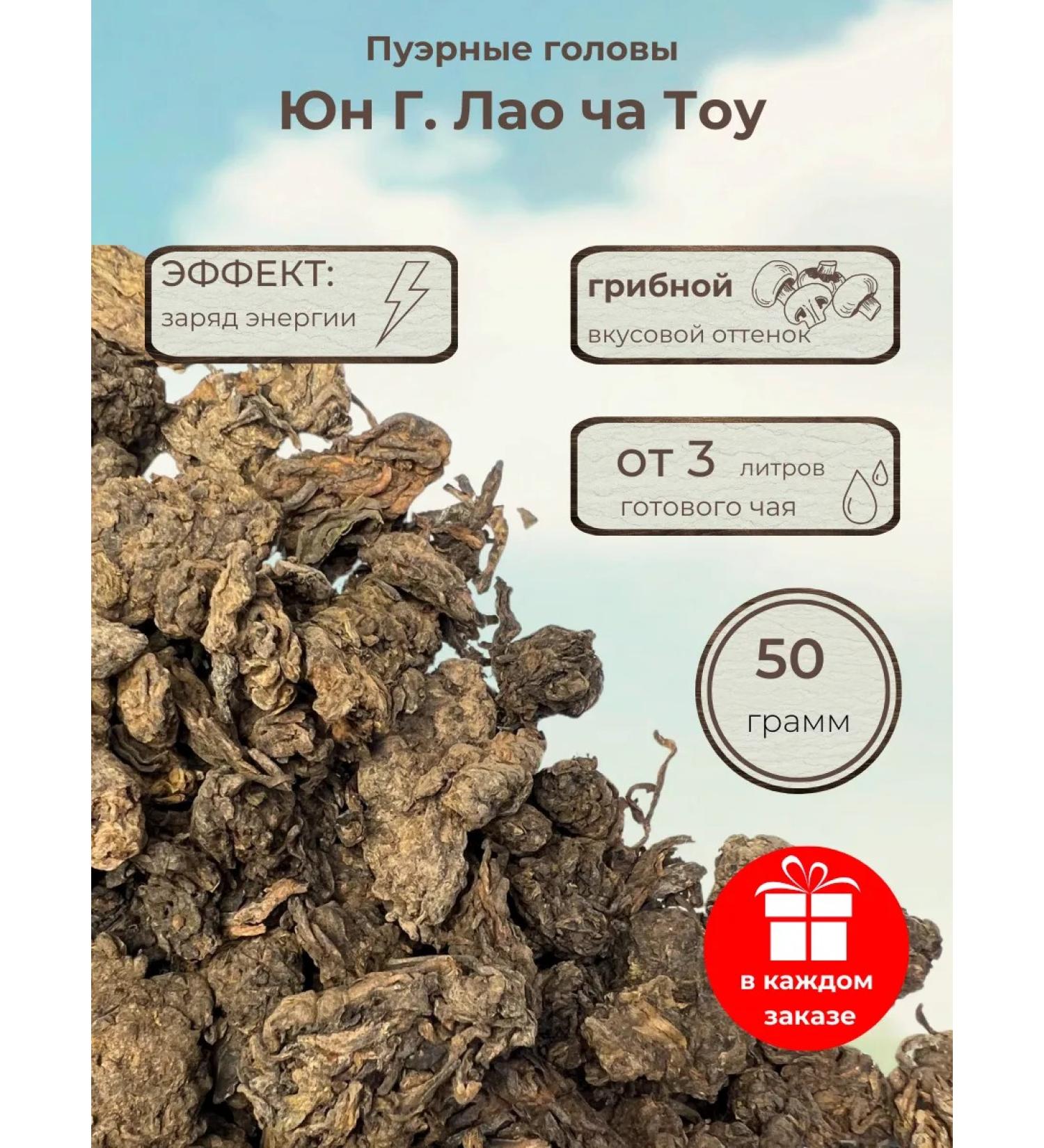 tea sommelier Tea Shu Puer Yun g Lao Cha Tou (tea heads) 50 g - Buy Online on GoSupps.com