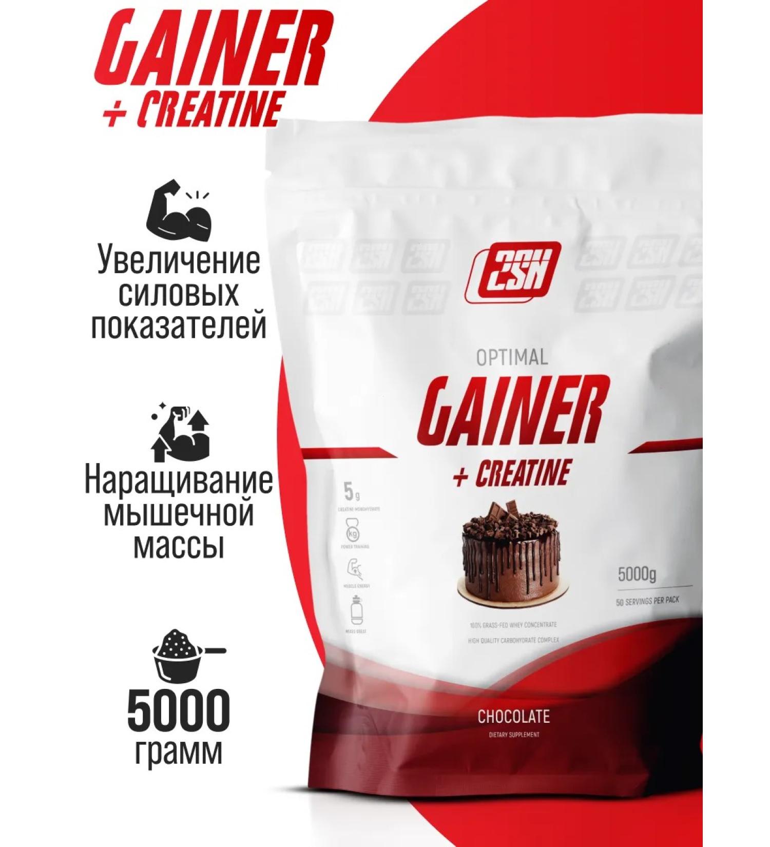 2SN Gainer Creatine for gaining mass Sports Chocolate 5 kg - Buy Online on GoSupps.com