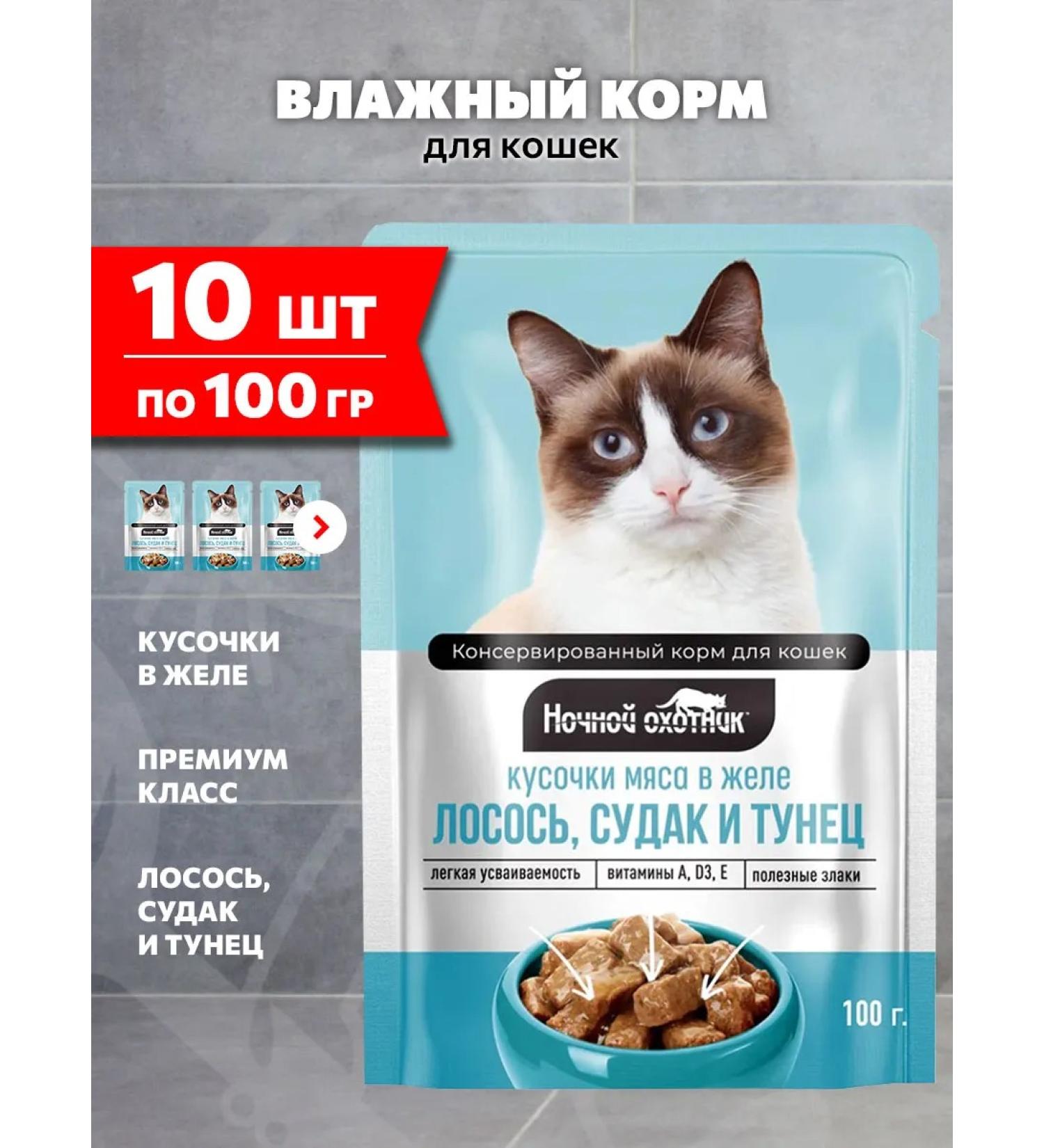 Night Hunter Wet feed for cats salmon pike perch tuna in jelly 100 g 10 pcs - Buy Online on GoSupps.com