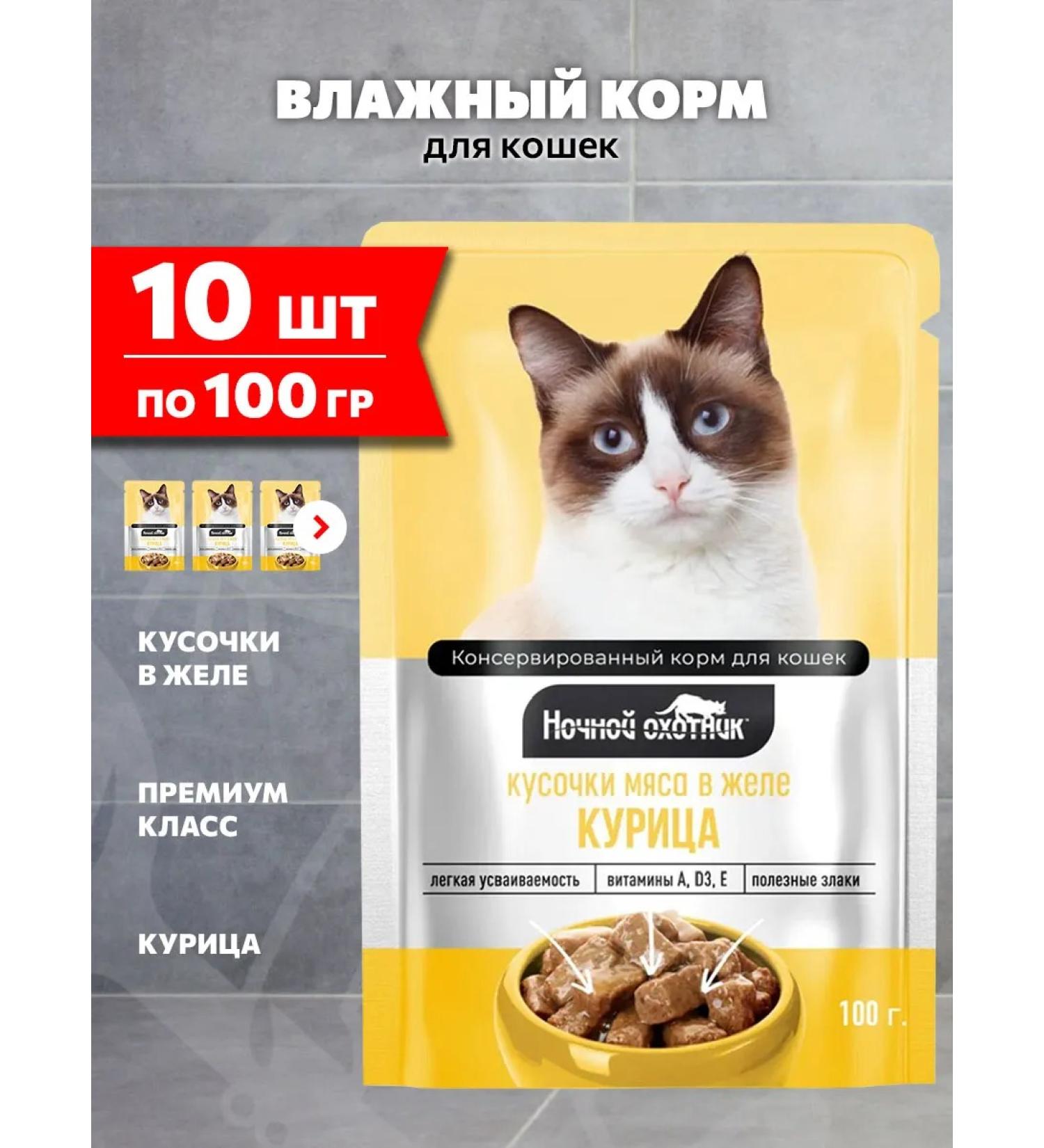 Night Hunter Wet feed for cats chicken in jelly 100 g 10 pcs - Buy Online on GoSupps.com