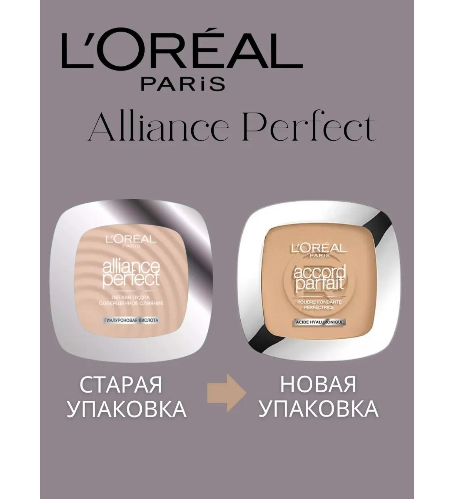 L'OREAL PARIS Light powder Alliance Perfect tone 3.d - Buy Online on GoSupps.com