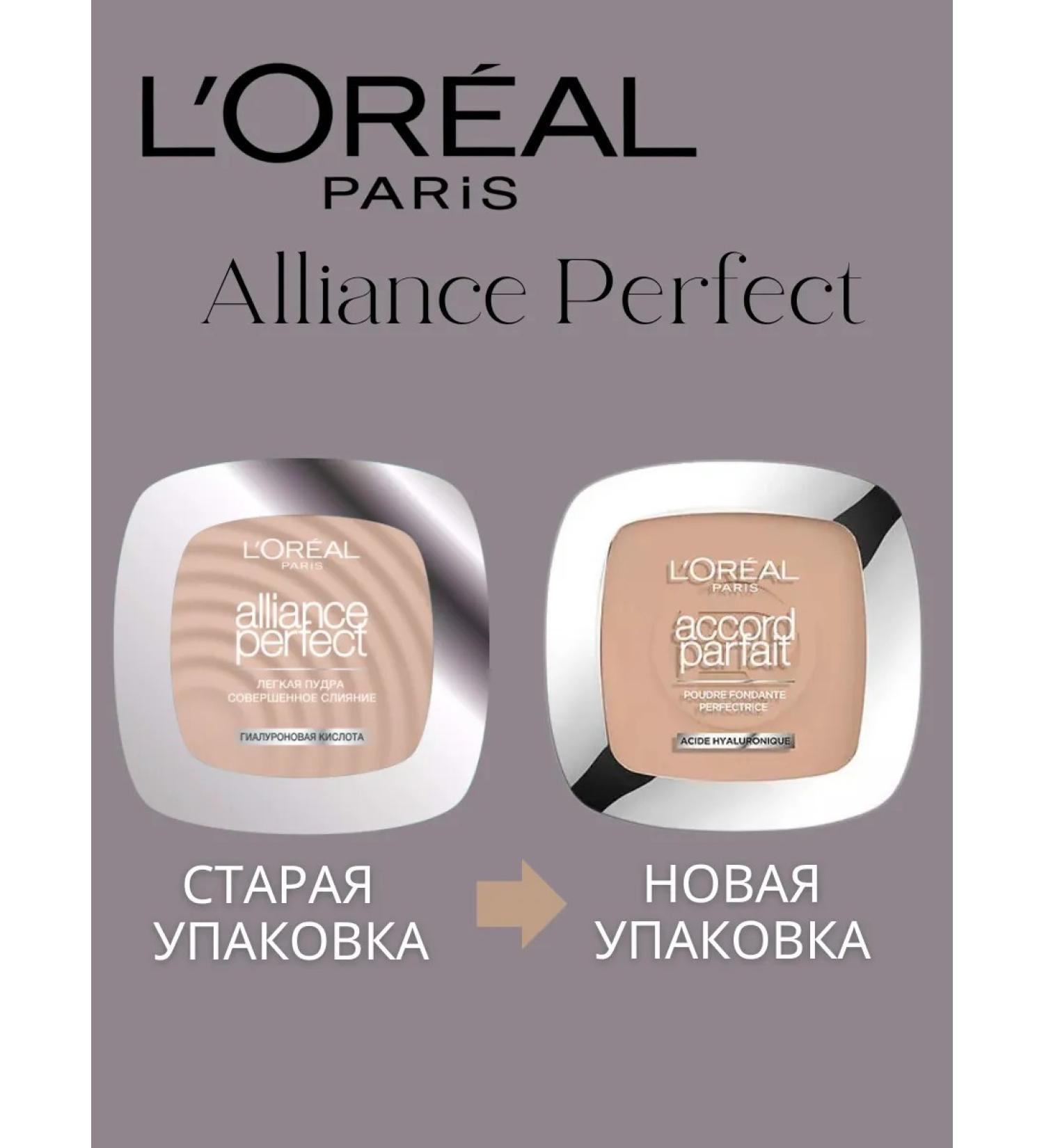 L'OREAL PARIS Light powder Alliance Perfect tone N4 - Buy Online on GoSupps.com