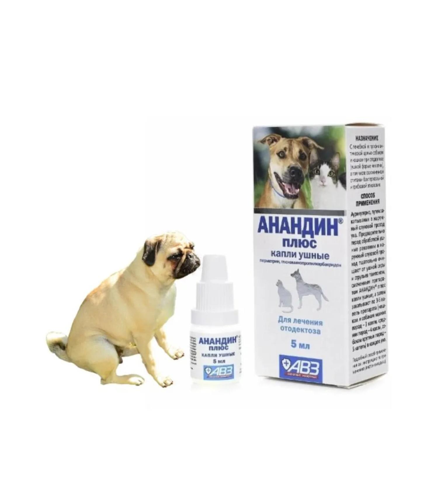 AVZ Anandin plus ear drops 5 ml