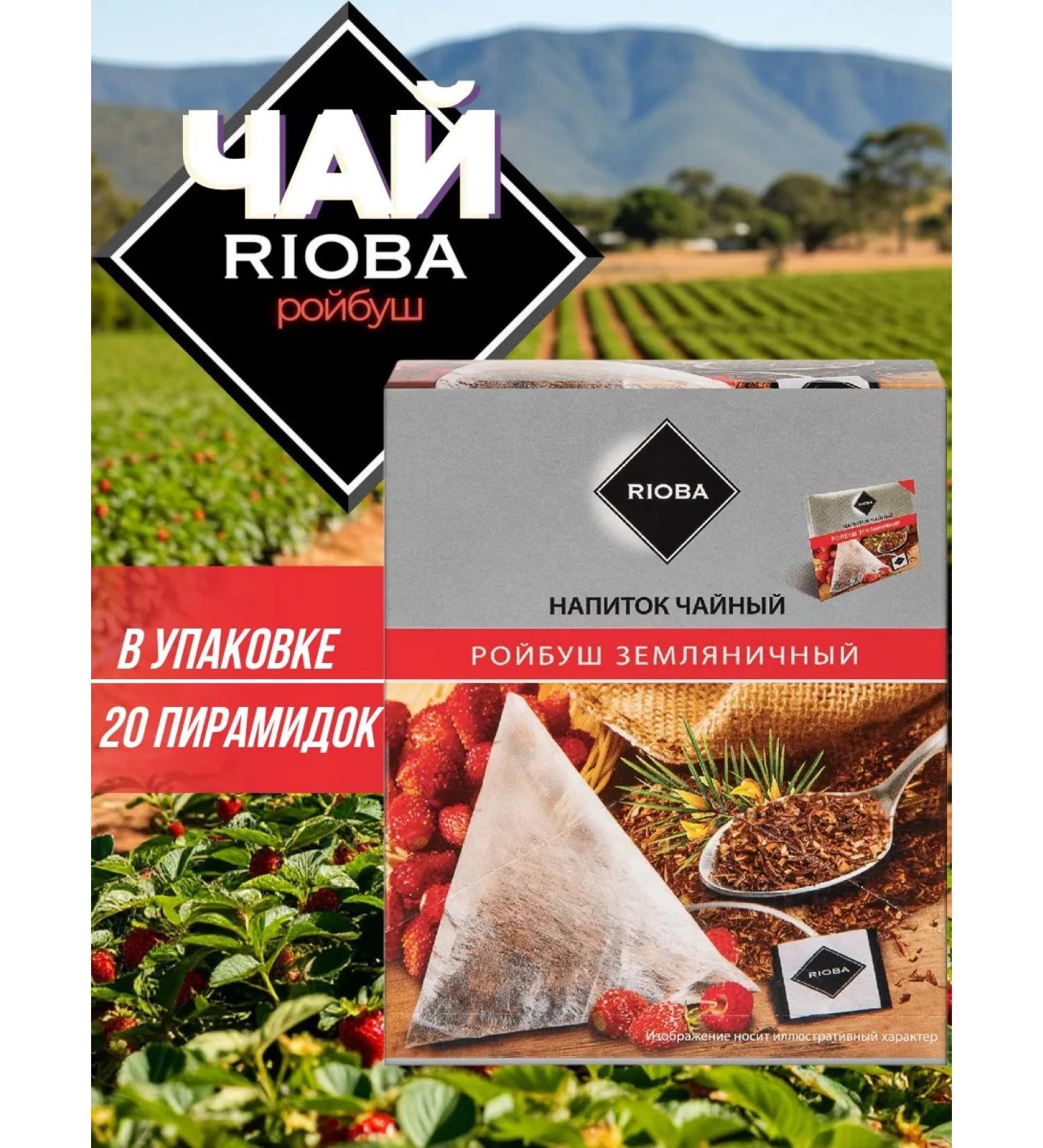 Rioba Tea drink in pyramids (bags) Roybush 20 pieces - Buy Online on GoSupps.com