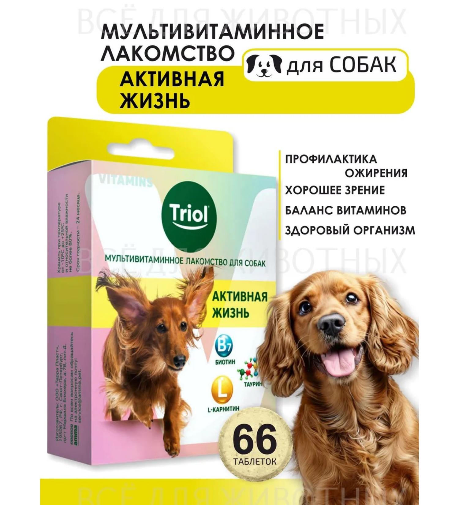 Triol Vitamins for dogs from obesity - Buy Online on GoSupps.com