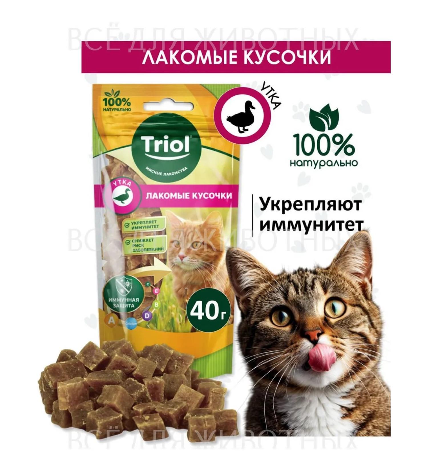 Triol Cat a treat "Tasty pieces of duck" 40g - Buy Online on GoSupps.com