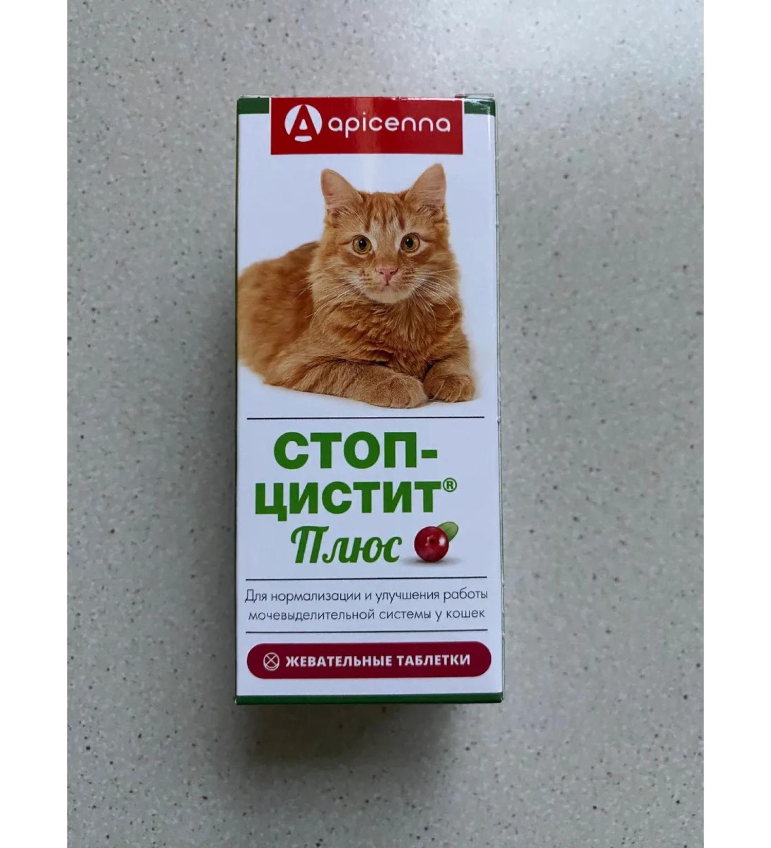 Stop cystitis + for cats chewing tablets