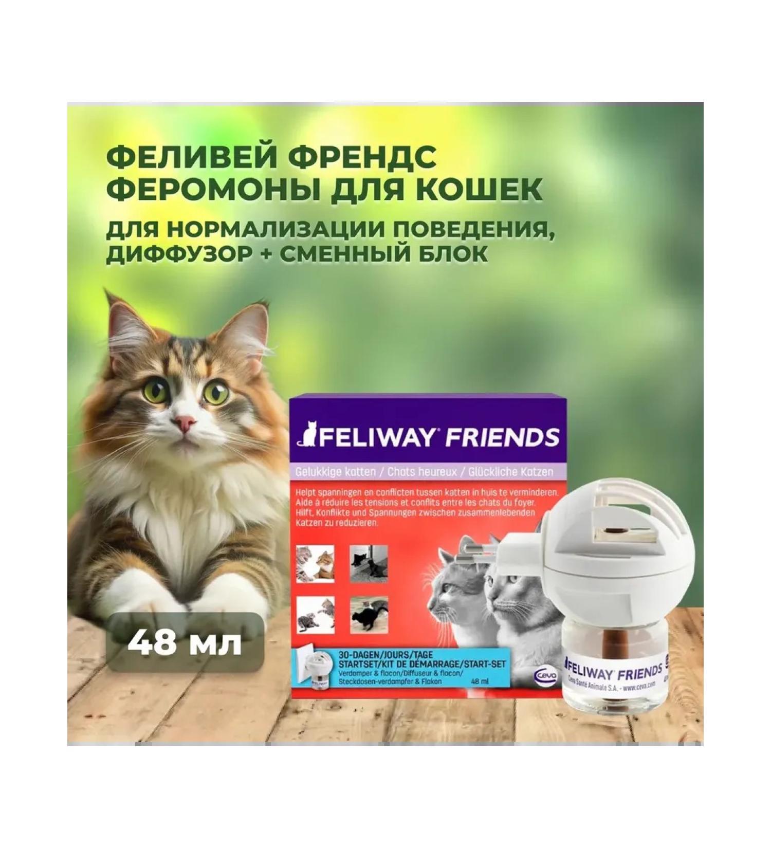 Ceva Felivei Frands for cats diffuser + shift block 48 ml - Buy Online on GoSupps.com