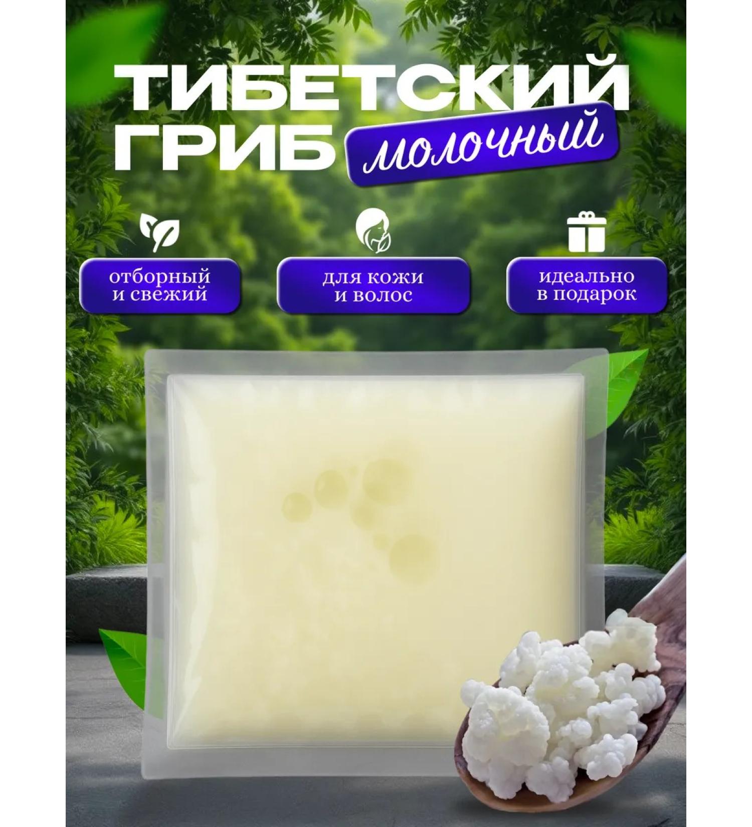 KOMBUCHA Milk mushroom Live sour core for kefir - Buy Online on GoSupps.com