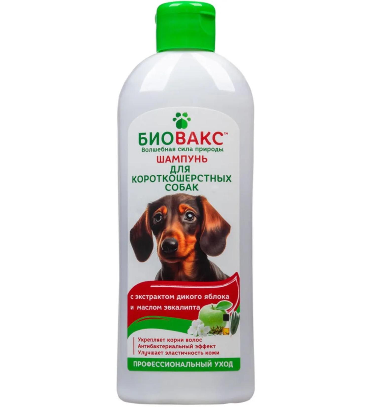 Biovax Shampoo for short hair of dogs apple Eucalyptus 355 ml
