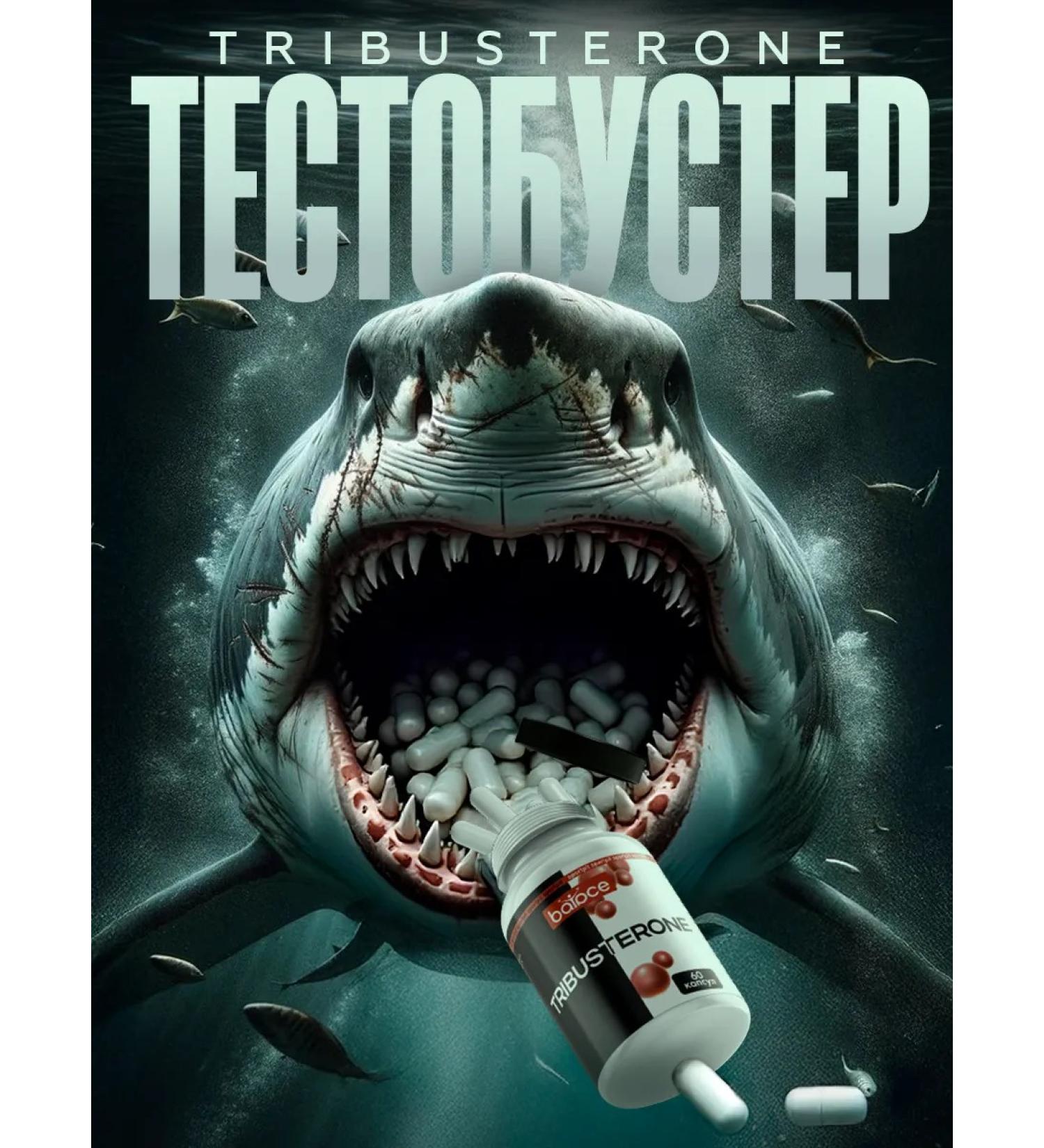 Balace Tribusterone Testosterone for sports in capsules - Buy Online on GoSupps.com