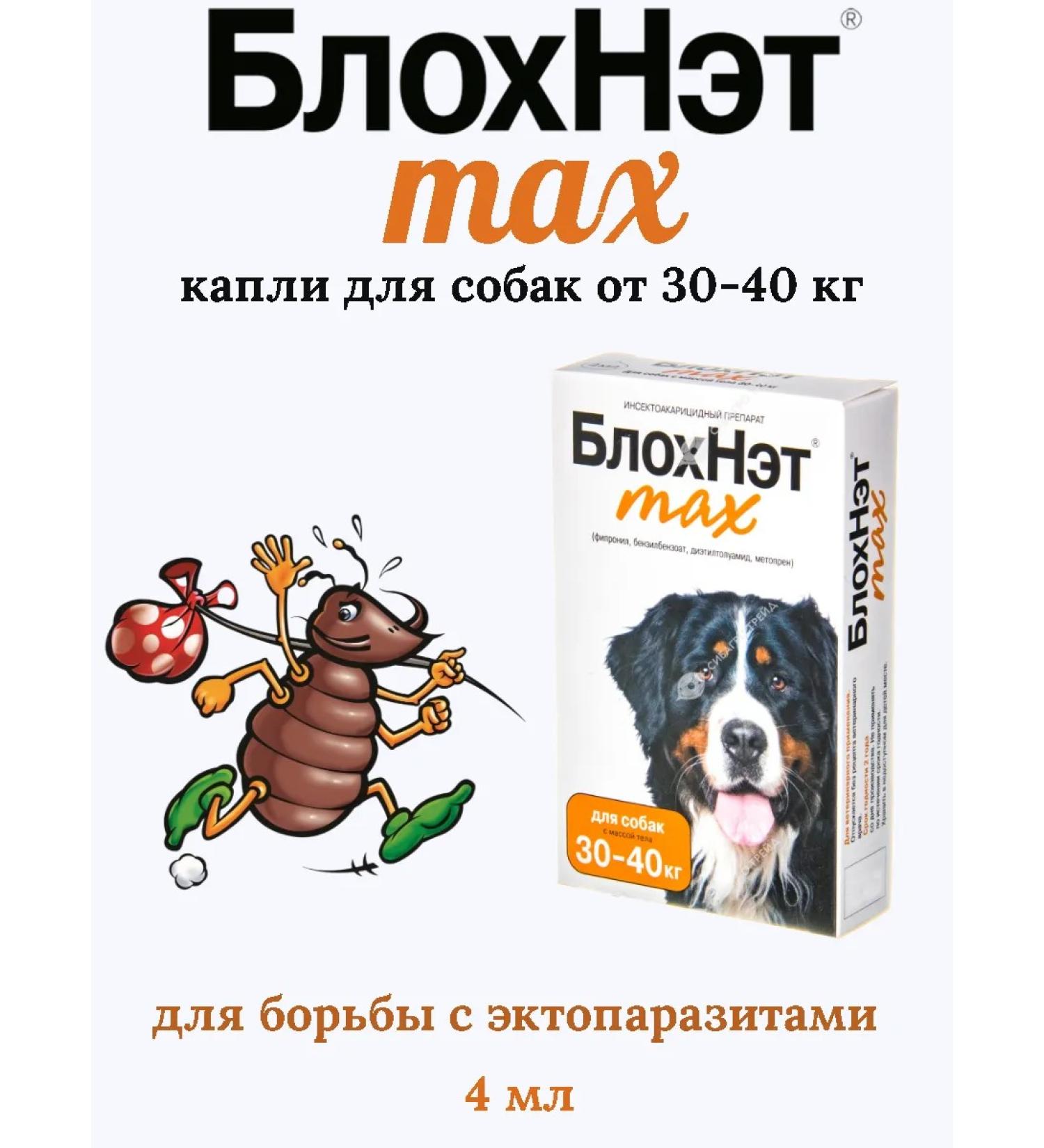 Astrapharm Blochnet Max Drops for dogs from 30 to 40 kg
