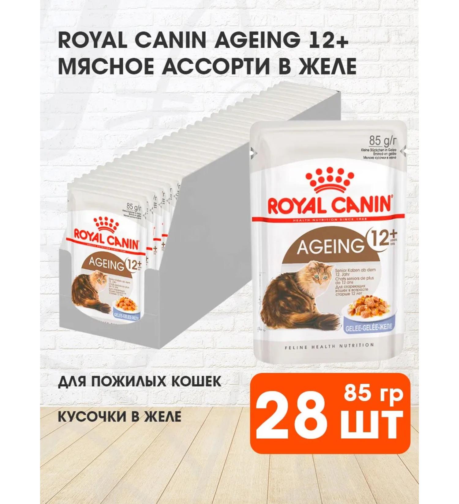 ROYAL CANIN Wet food for elderly cats 12+ years jelly 85 g 28 pcs - Buy Online on GoSupps.com