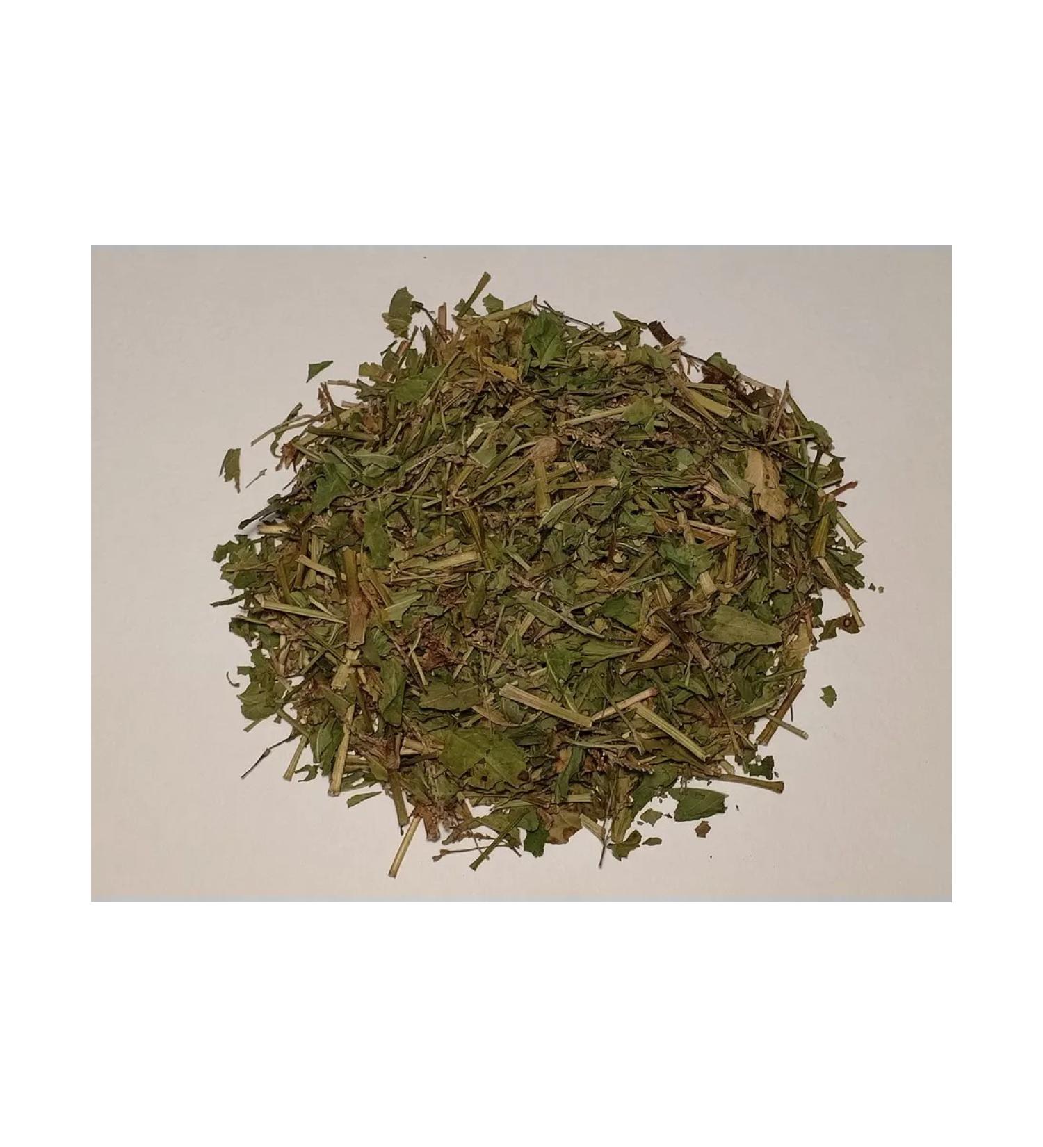 Southern herbalist Highlander Highlander (grass) - Buy Online on GoSupps.com