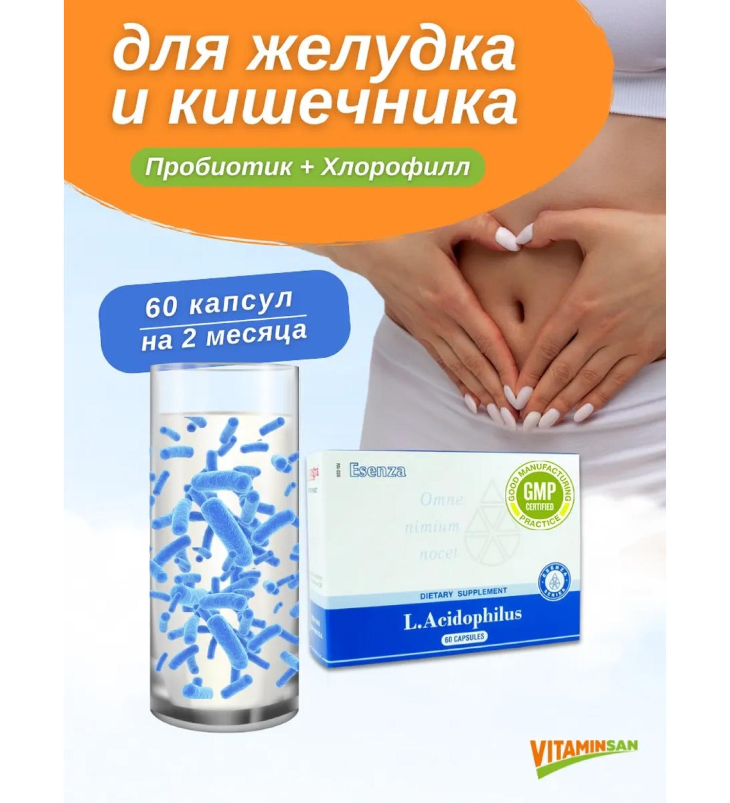 Santegra Probiotic and chlorophyll for the stomach and intestines Santera - Buy Online on GoSupps.com