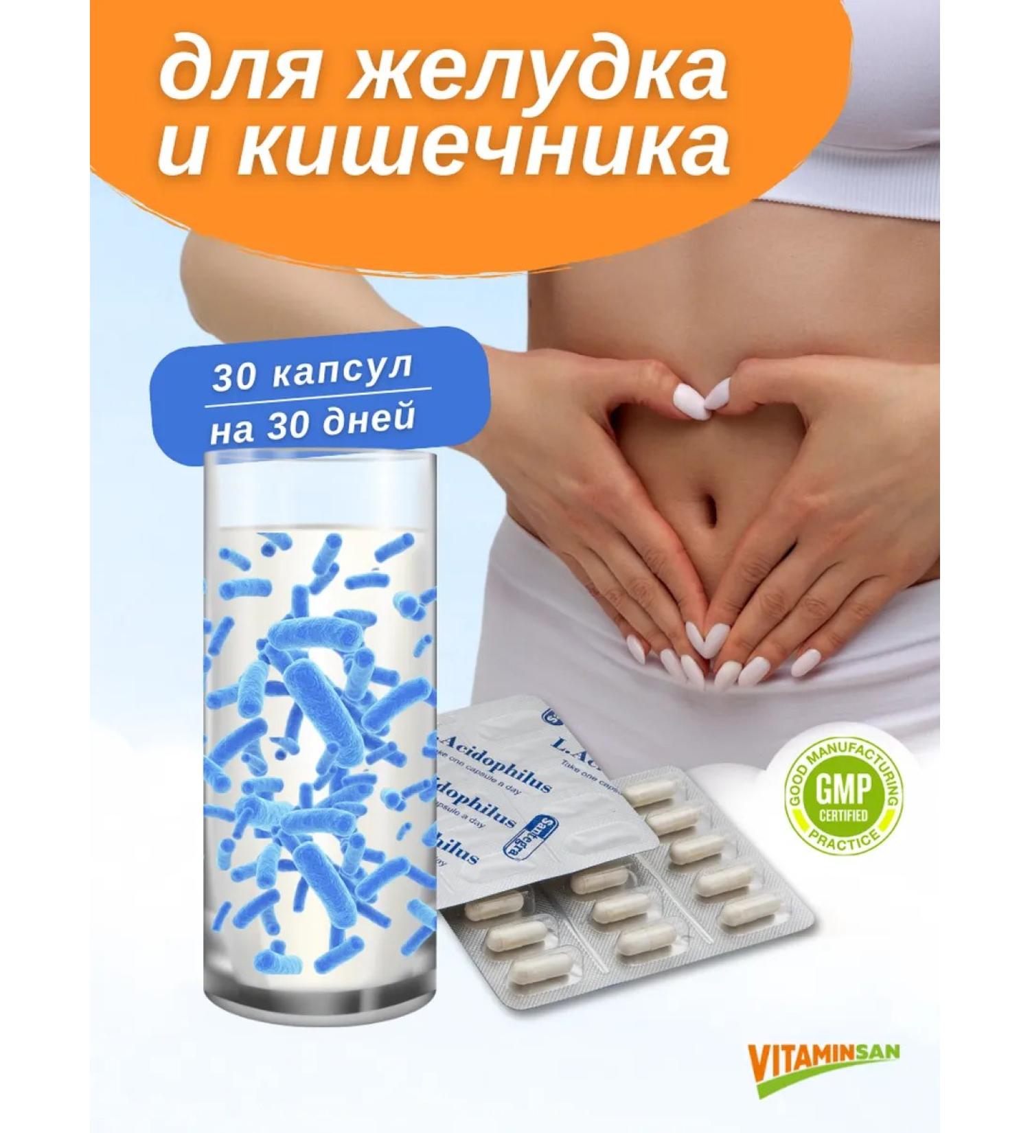 Santegra Probiotic lactobacilli for the stomach and intestines Santera - Buy Online on GoSupps.com