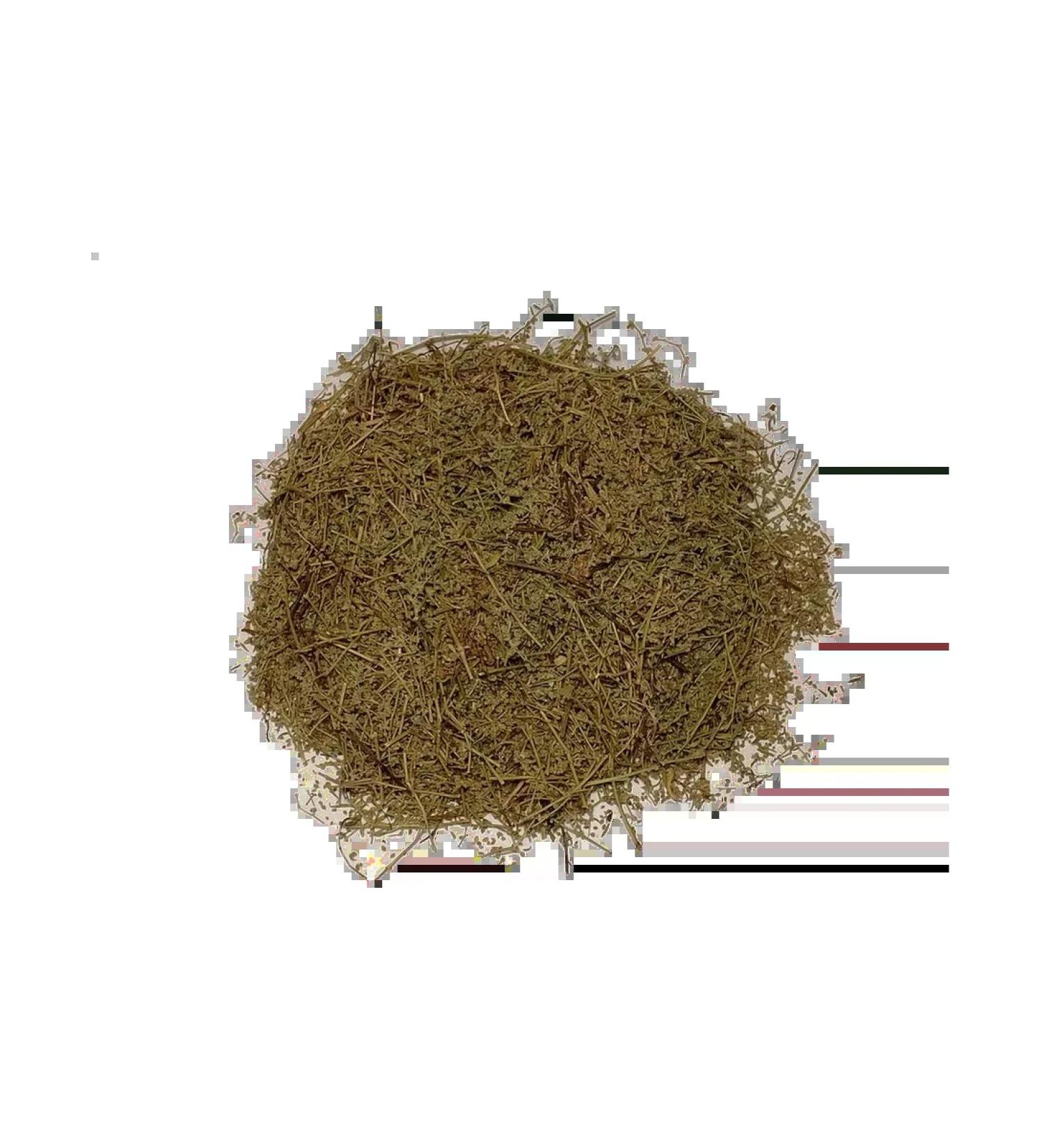 Southern herbalist Smooth hernia (grass)