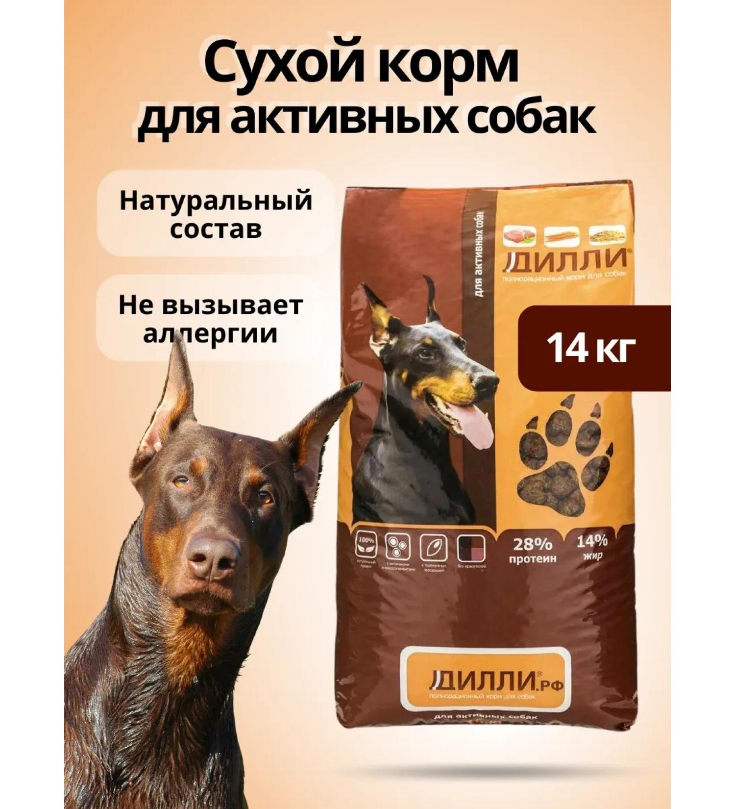 DILLY Dry food for active dogs 14 kg - Buy Online on GoSupps.com
