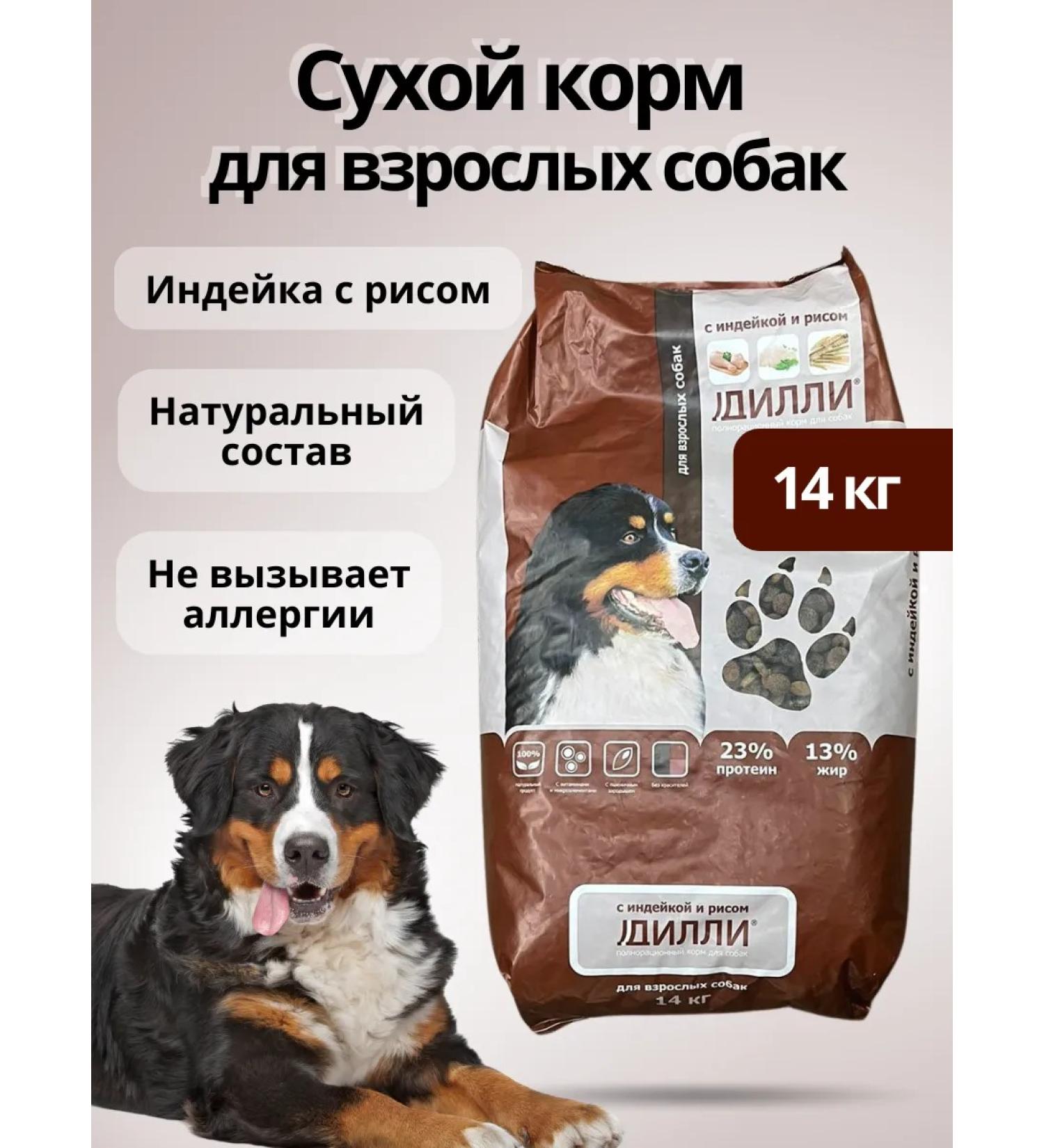 DILLY Dry food for dogs with turkey 14 kg - Buy Online on GoSupps.com