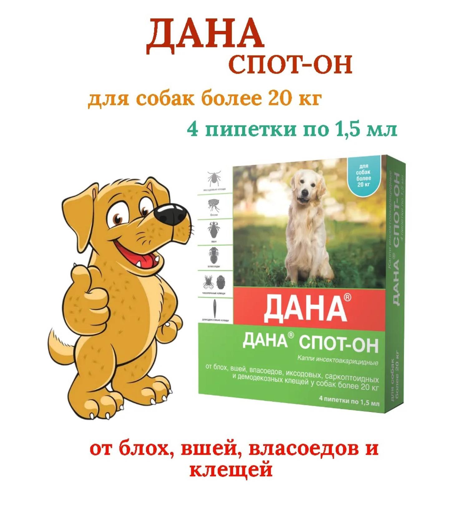 Apicenna Dan is a spit for dogs from 20 kg