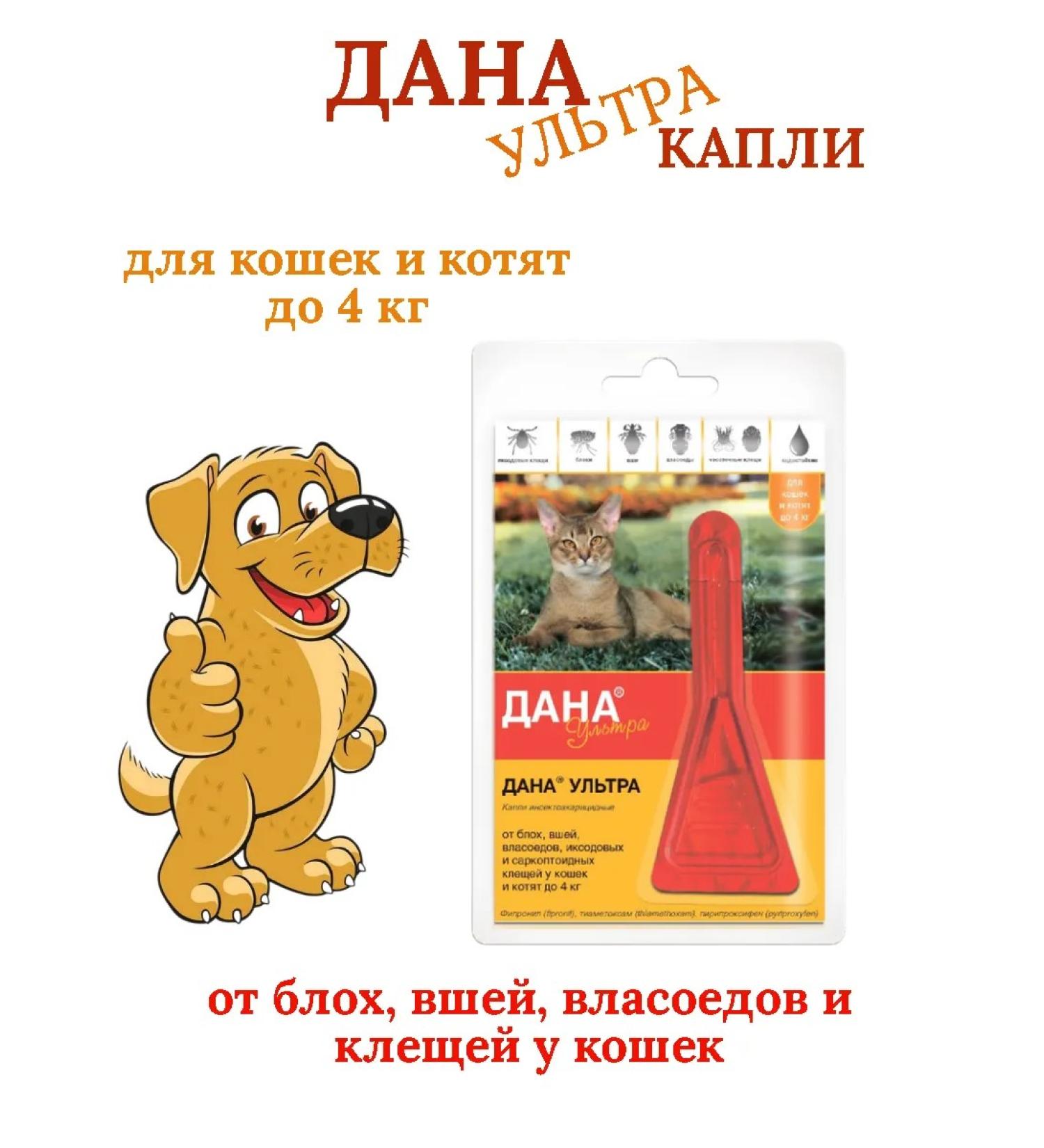 Apicenna Dalled Ultra drops for cats and kittens up to 4 kg