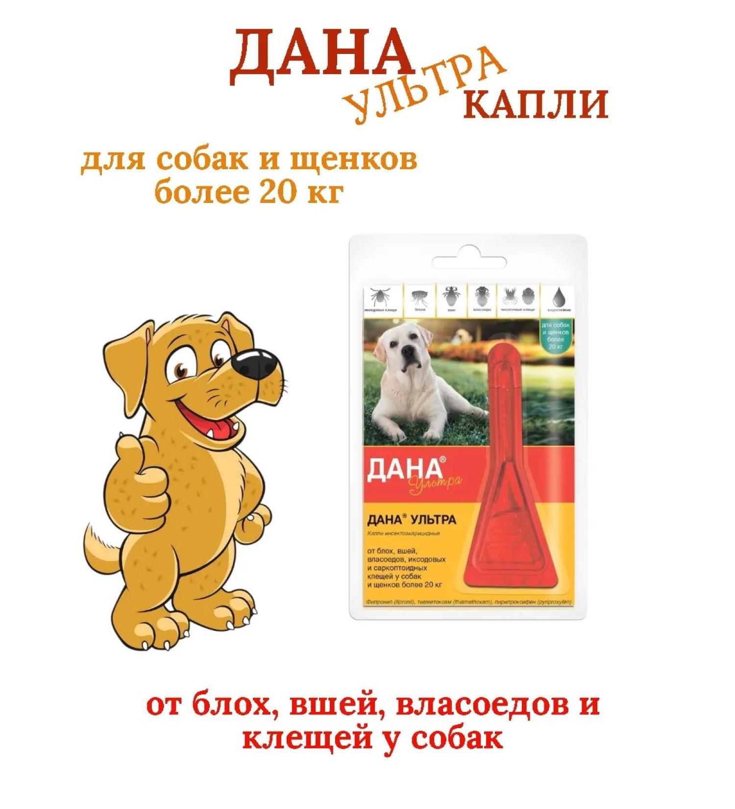 Apicenna DAY Ultra Drops for Dogs of more than 20 kg